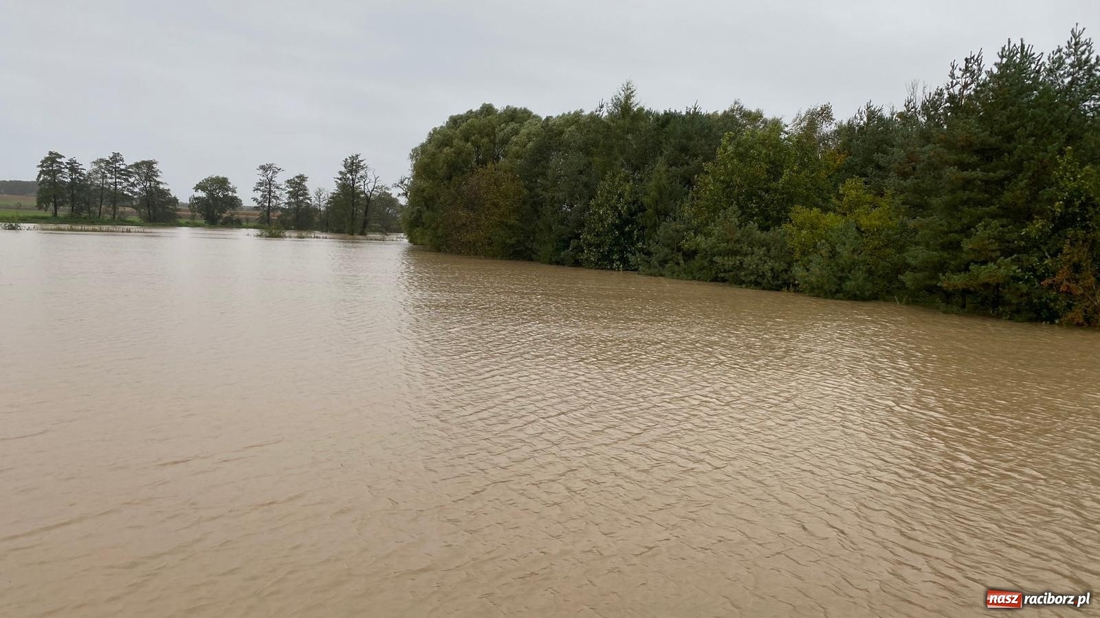 Zdjęcie w galerii na portalu naszraciborz.pl: W gminie Krzanowice szykują worki z piaskiem. Zbiornik na Białej Wodzie pełny  wiadomości z regionu