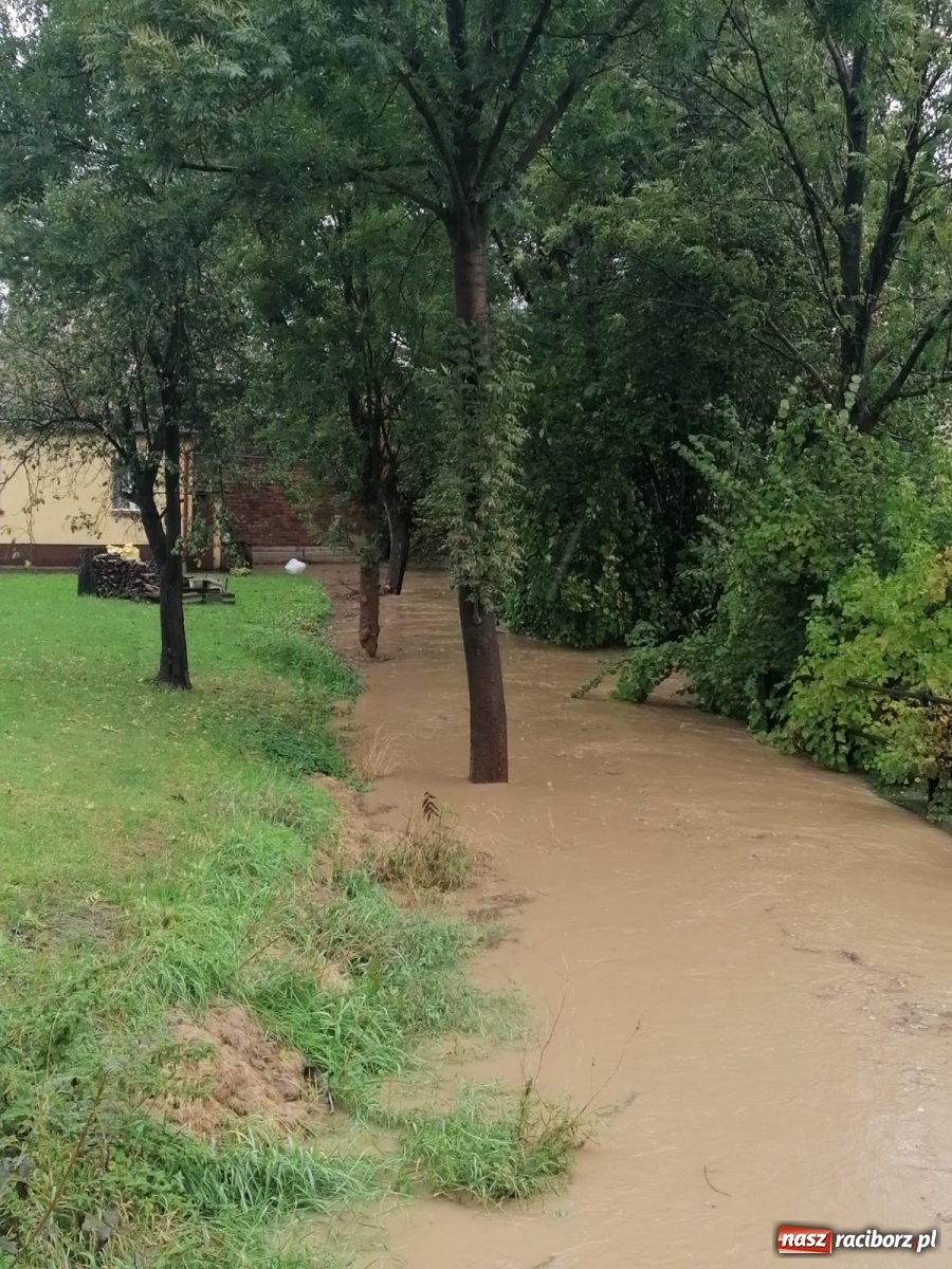 Zdjęcie w galerii na portalu naszraciborz.pl: W gminie Krzanowice szykują worki z piaskiem. Zbiornik na Białej Wodzie pełny  wiadomości z regionu