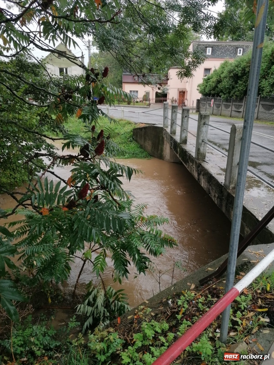 Zdjęcie w galerii na portalu naszraciborz.pl: W gminie Krzanowice szykują worki z piaskiem. Zbiornik na Białej Wodzie pełny  wiadomości z regionu