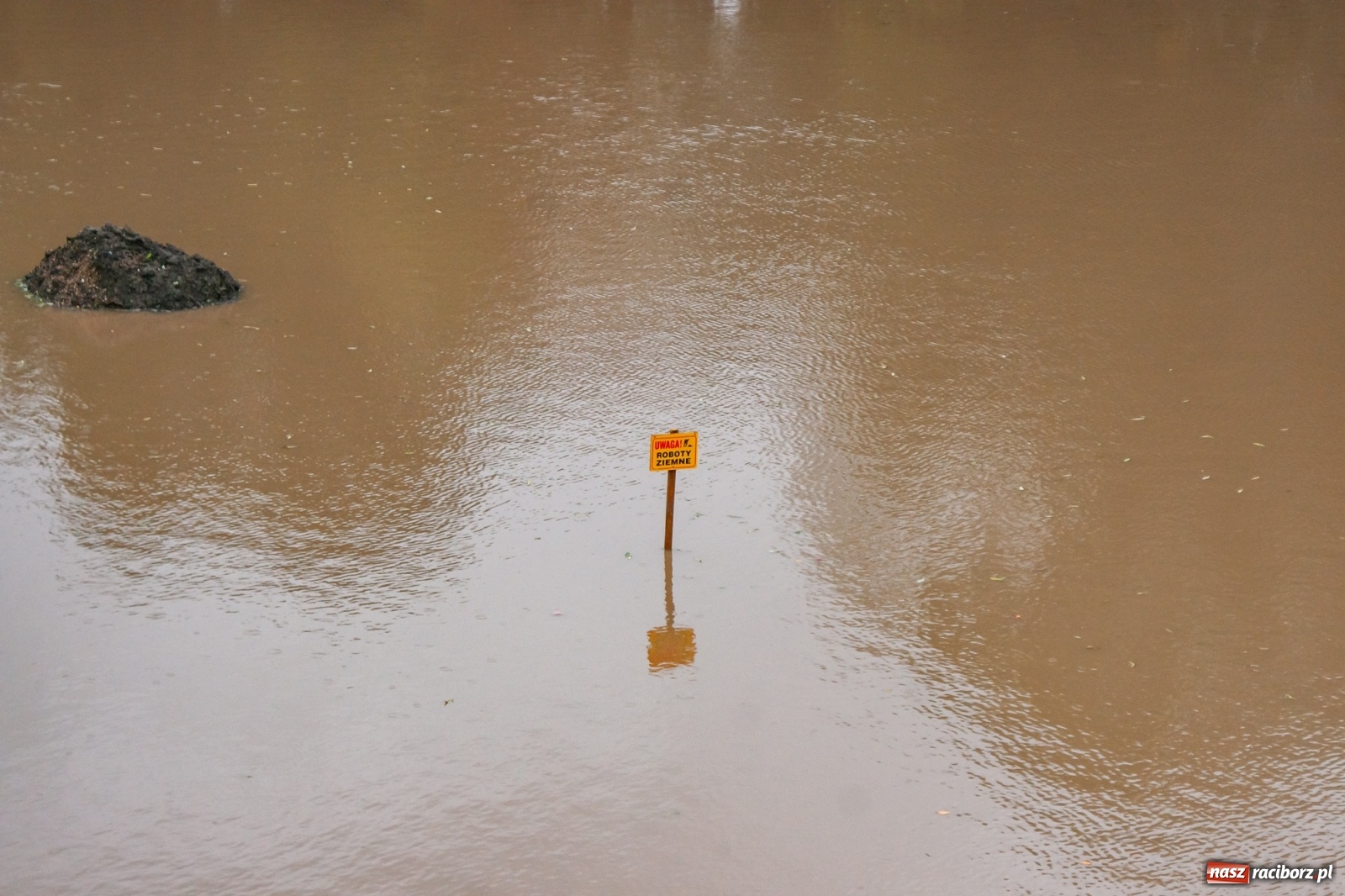 Zdjęcie w galerii na portalu naszraciborz.pl: Sytuacja powodziowa w powiecie raciborskim  wiadomości z regionu