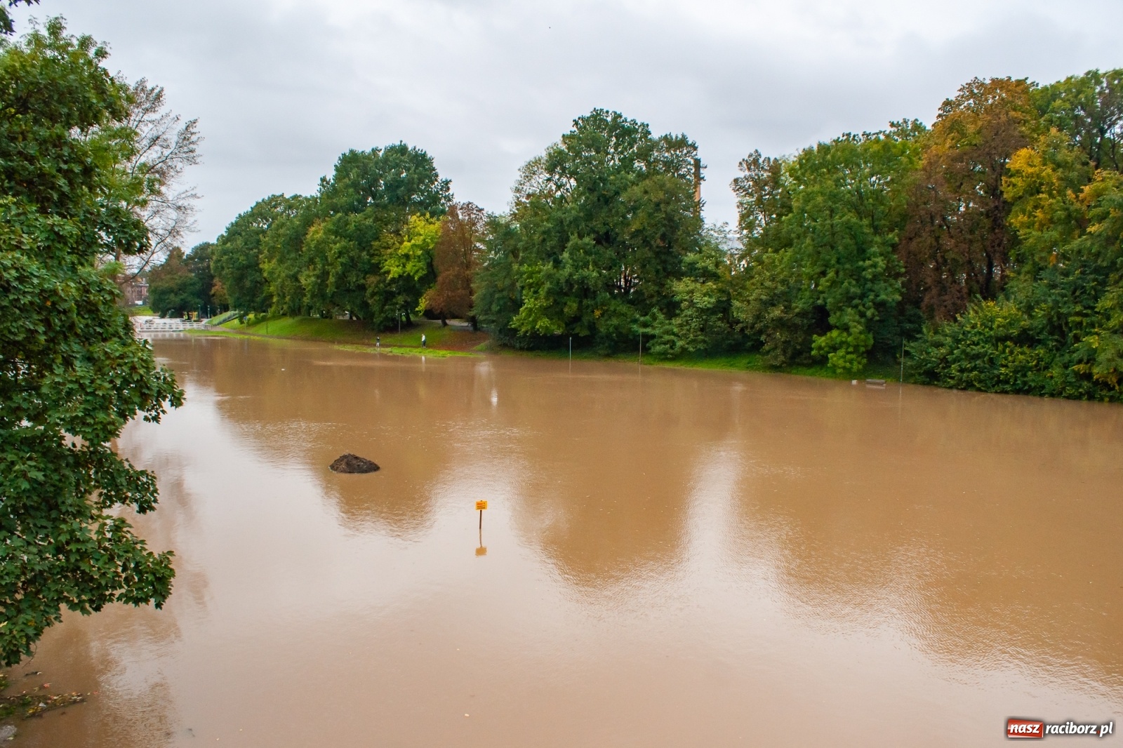 Zdjęcie w galerii na portalu naszraciborz.pl: Sytuacja powodziowa w powiecie raciborskim  wiadomości z regionu