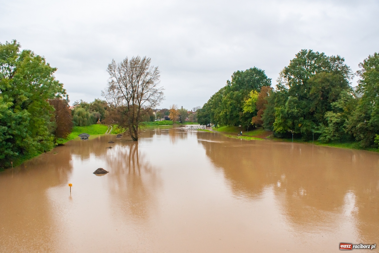 Zdjęcie w galerii na portalu naszraciborz.pl: Sytuacja powodziowa w powiecie raciborskim  wiadomości z regionu
