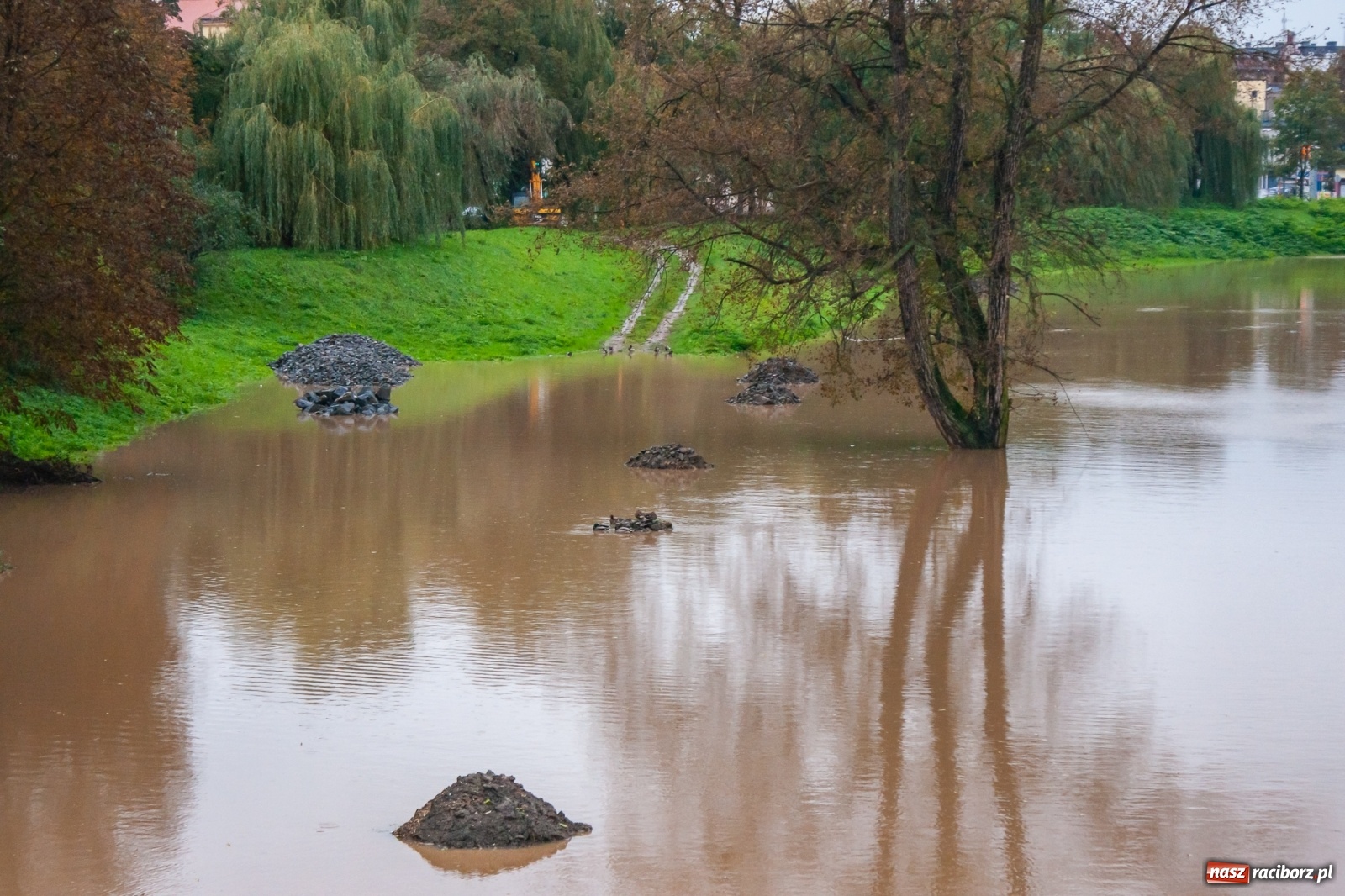 Zdjęcie w galerii na portalu naszraciborz.pl: Sytuacja powodziowa w powiecie raciborskim  wiadomości z regionu