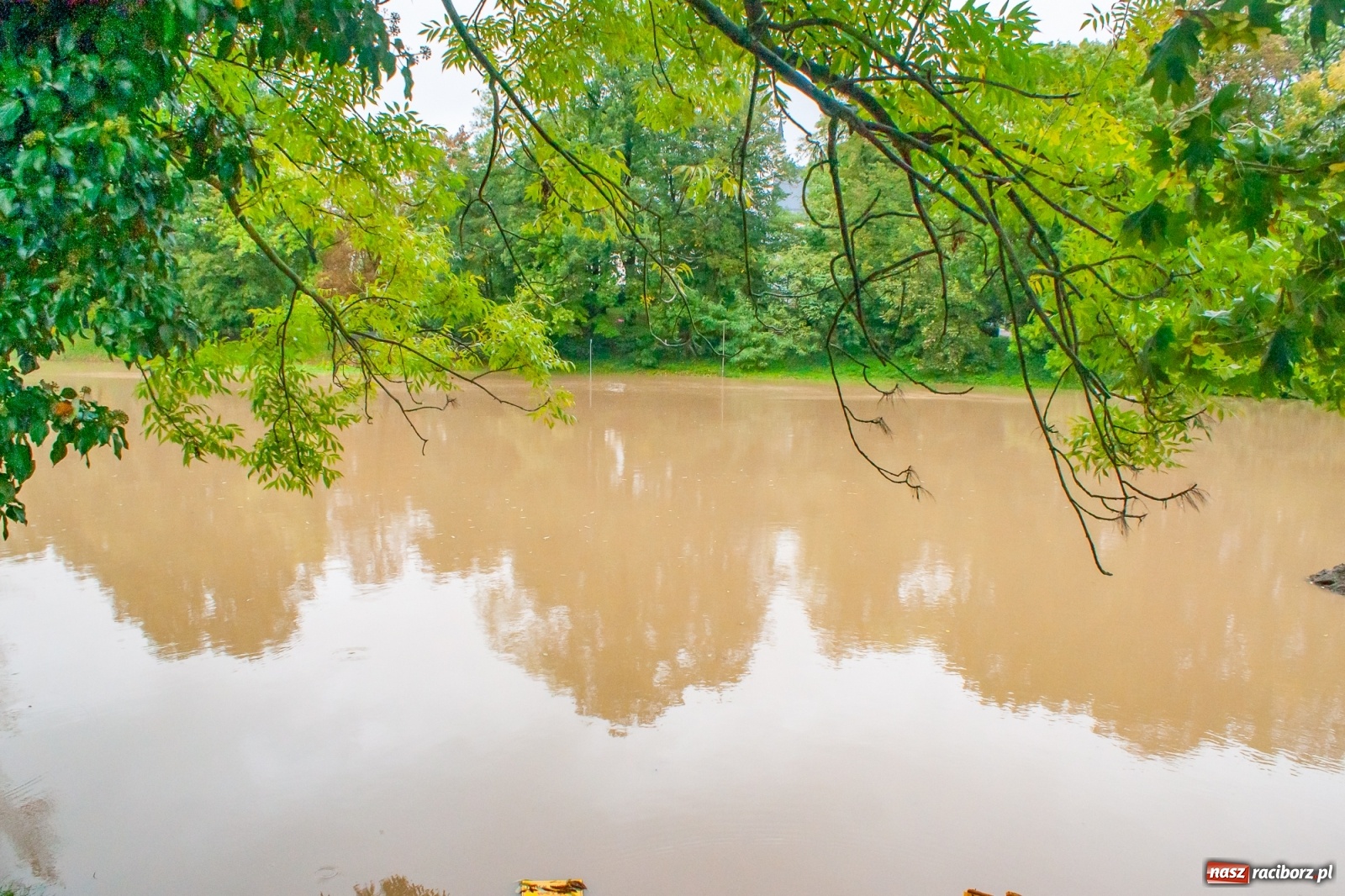 Zdjęcie w galerii na portalu naszraciborz.pl: Sytuacja powodziowa w powiecie raciborskim  wiadomości z regionu