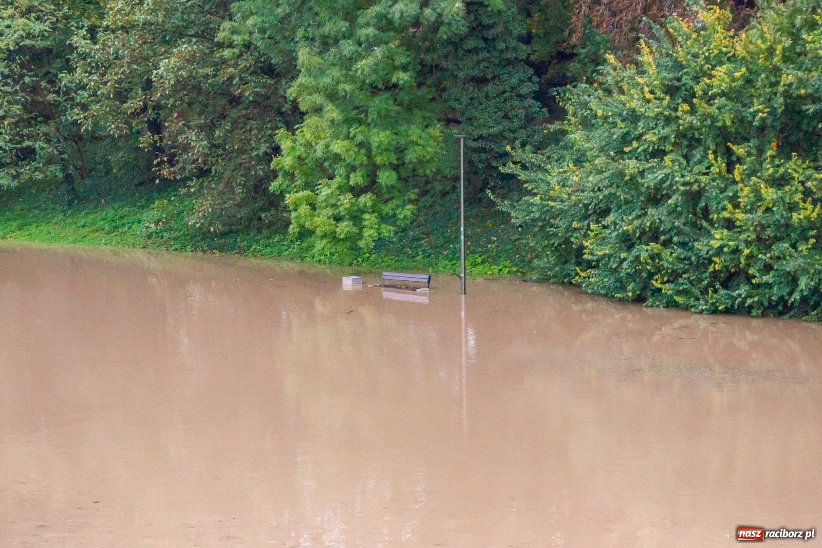Zdjęcie w galerii na portalu naszraciborz.pl: Sytuacja powodziowa w powiecie raciborskim  wiadomości z regionu
