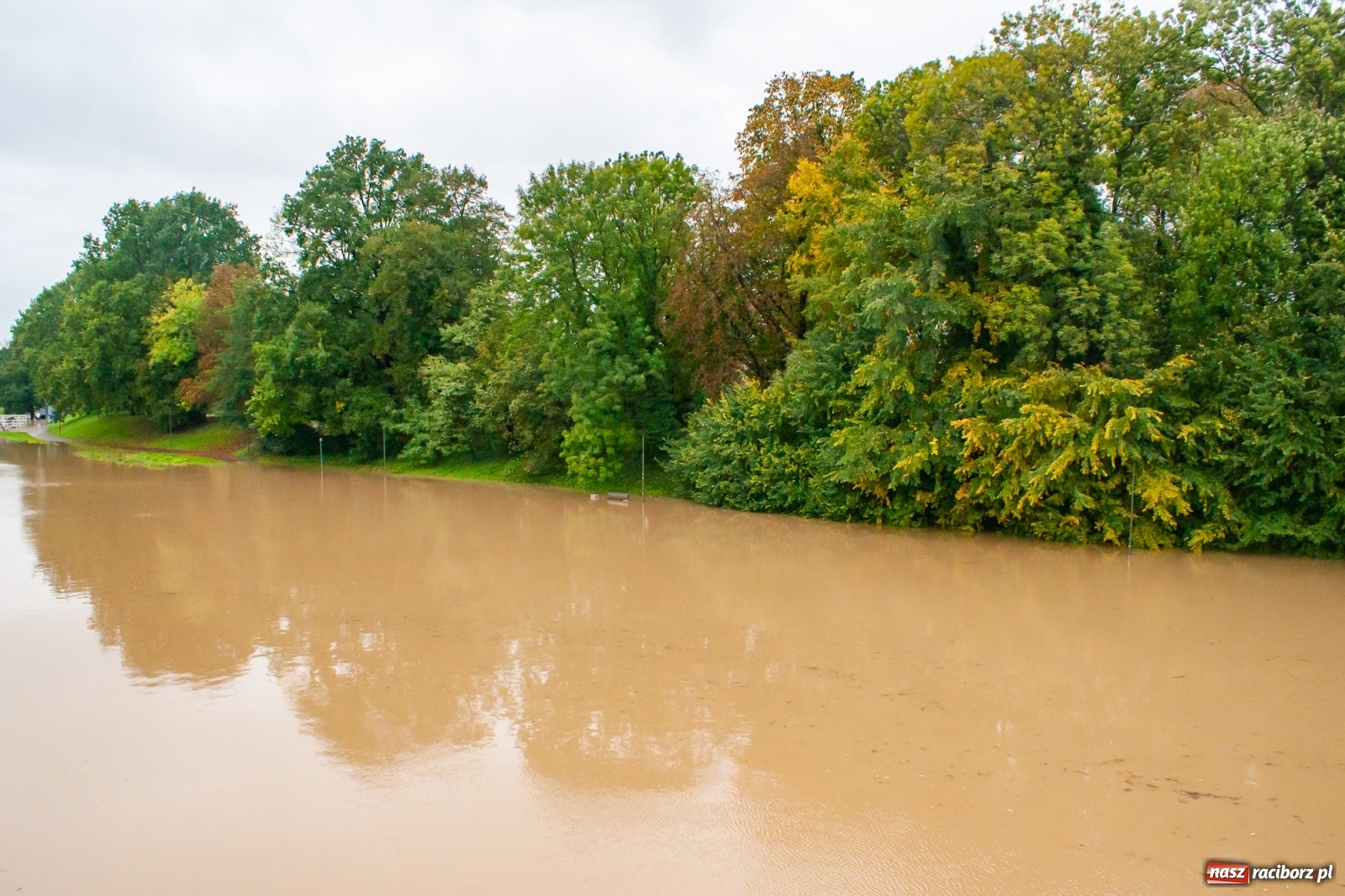 Zdjęcie w galerii na portalu naszraciborz.pl: Sytuacja powodziowa w powiecie raciborskim  wiadomości z regionu