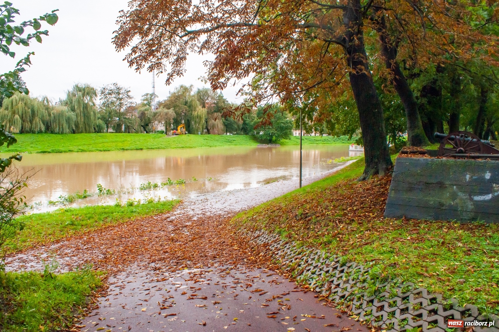 Zdjęcie w galerii na portalu naszraciborz.pl: Sytuacja powodziowa w powiecie raciborskim  wiadomości z regionu