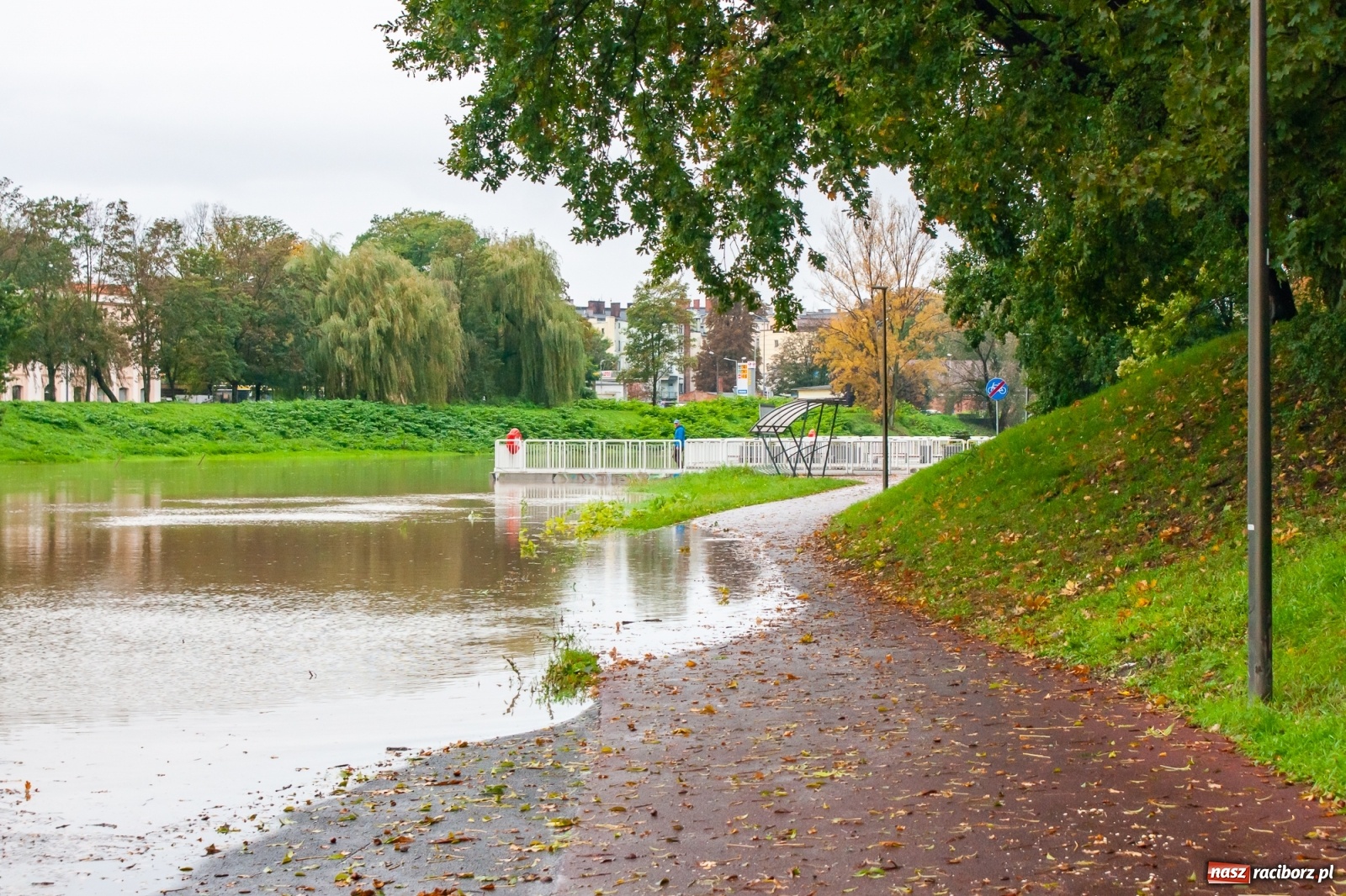 Zdjęcie w galerii na portalu naszraciborz.pl: Sytuacja powodziowa w powiecie raciborskim  wiadomości z regionu