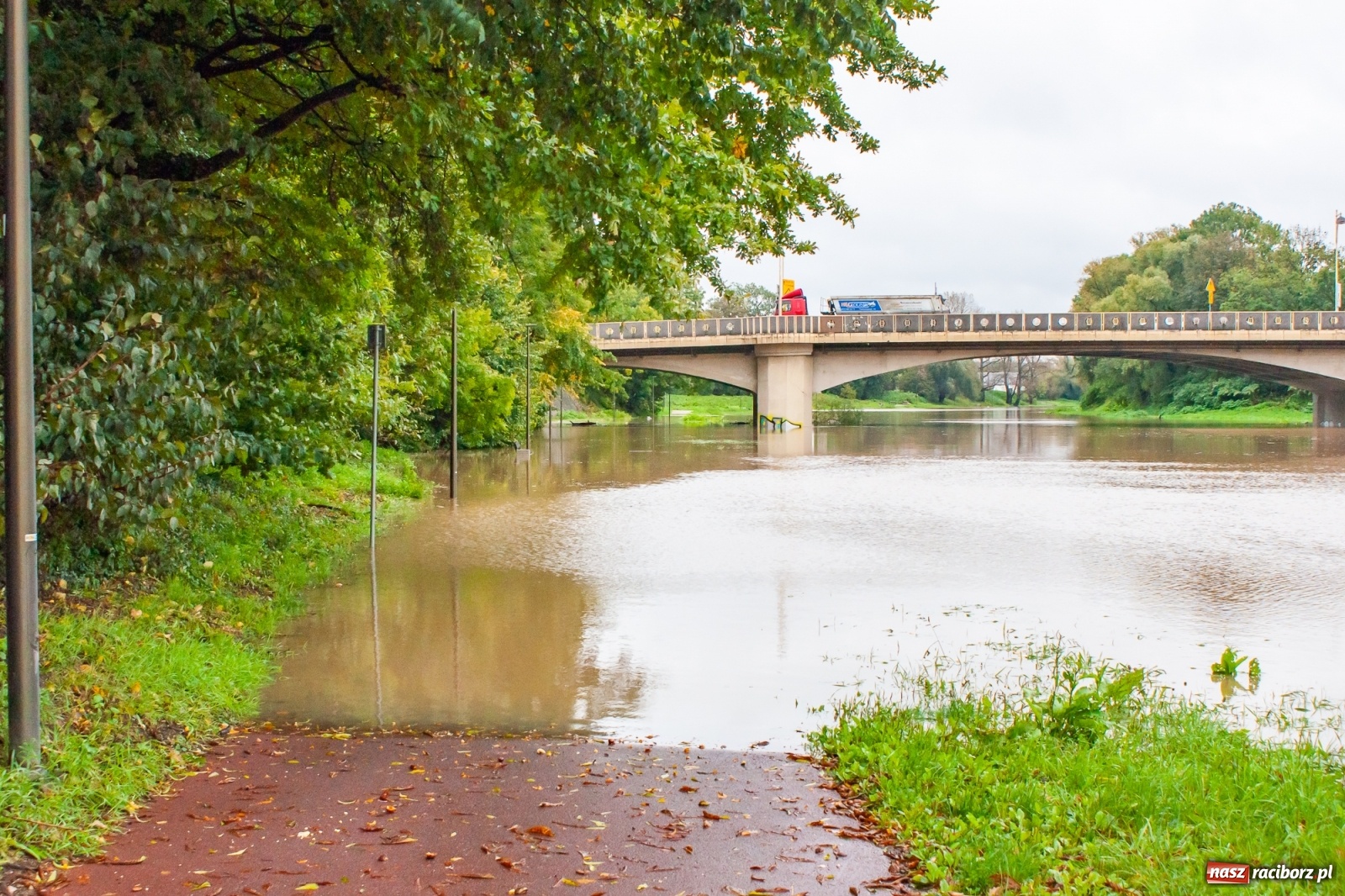 Zdjęcie w galerii na portalu naszraciborz.pl: Sytuacja powodziowa w powiecie raciborskim  wiadomości z regionu