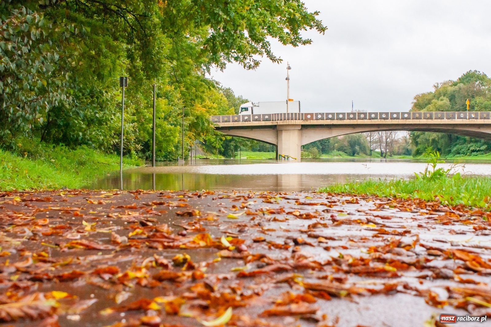 Zdjęcie w galerii na portalu naszraciborz.pl: Sytuacja powodziowa w powiecie raciborskim  wiadomości z regionu