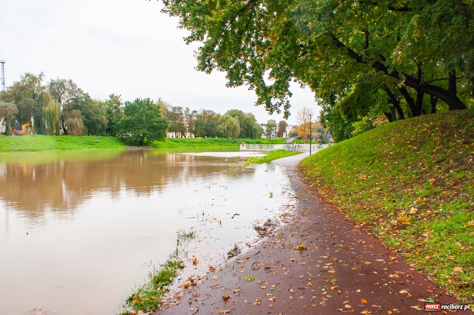 Zdjęcie w galerii na portalu naszraciborz.pl: Sytuacja powodziowa w powiecie raciborskim  wiadomości z regionu
