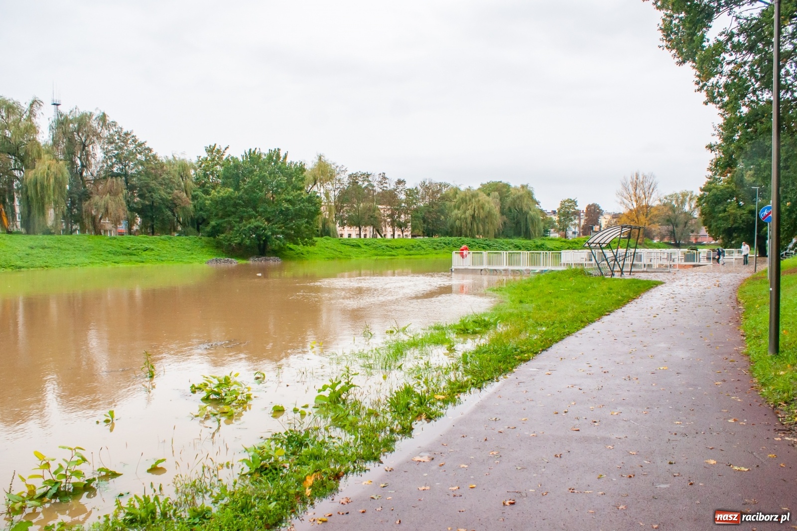 Zdjęcie w galerii na portalu naszraciborz.pl: Sytuacja powodziowa w powiecie raciborskim  wiadomości z regionu