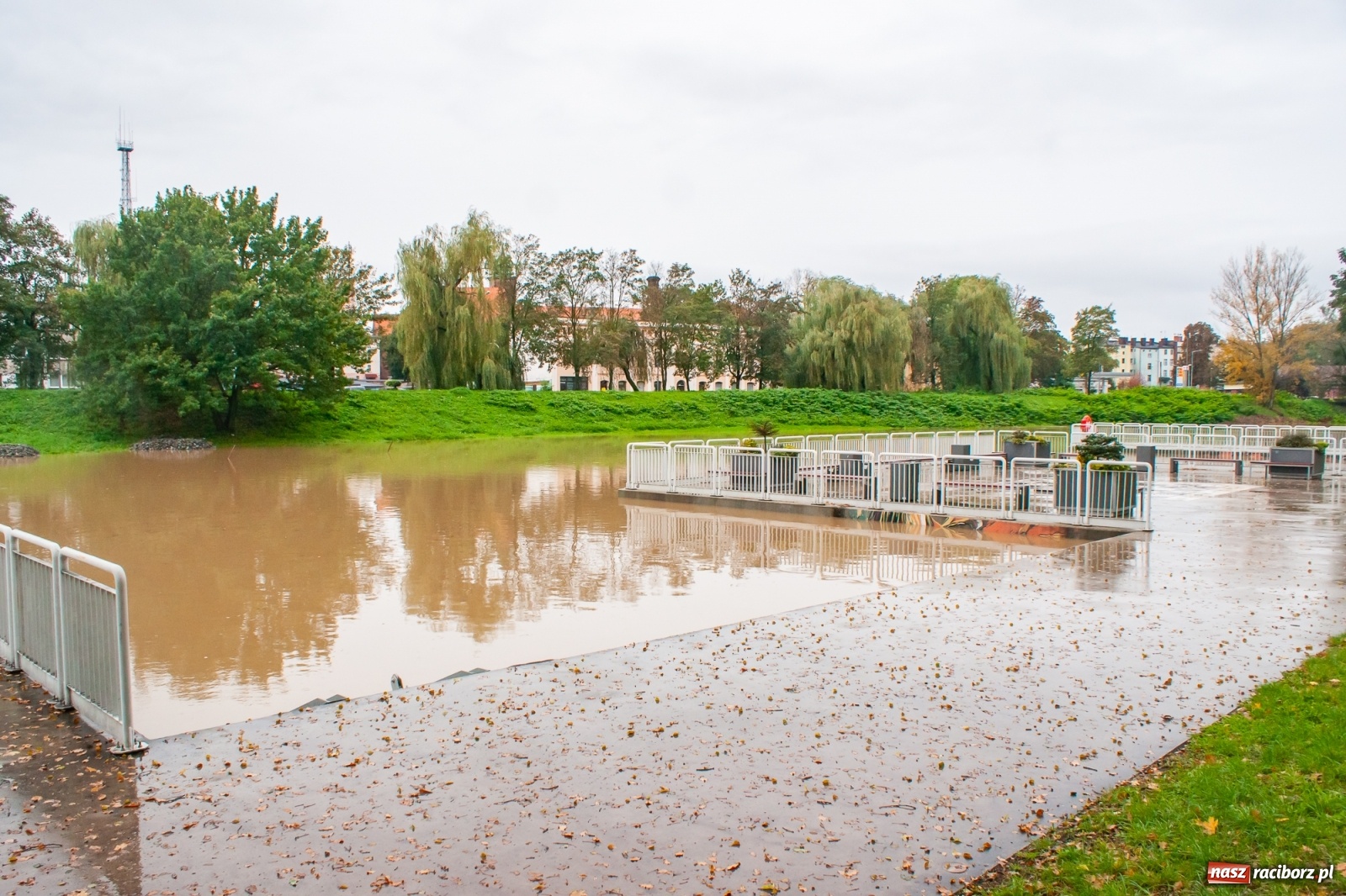 Zdjęcie w galerii na portalu naszraciborz.pl: Sytuacja powodziowa w powiecie raciborskim  wiadomości z regionu