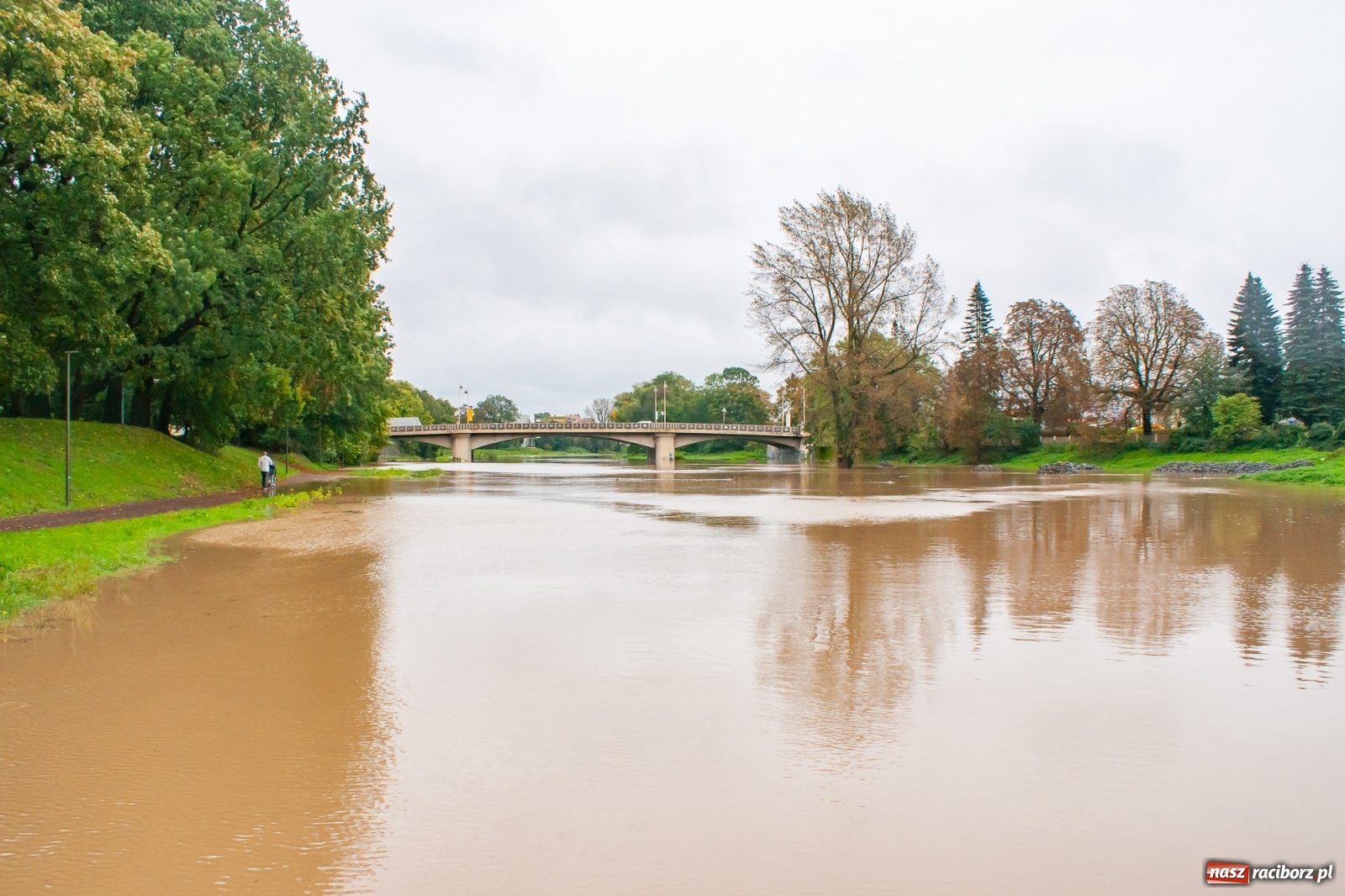 Zdjęcie w galerii na portalu naszraciborz.pl: Sytuacja powodziowa w powiecie raciborskim  wiadomości z regionu