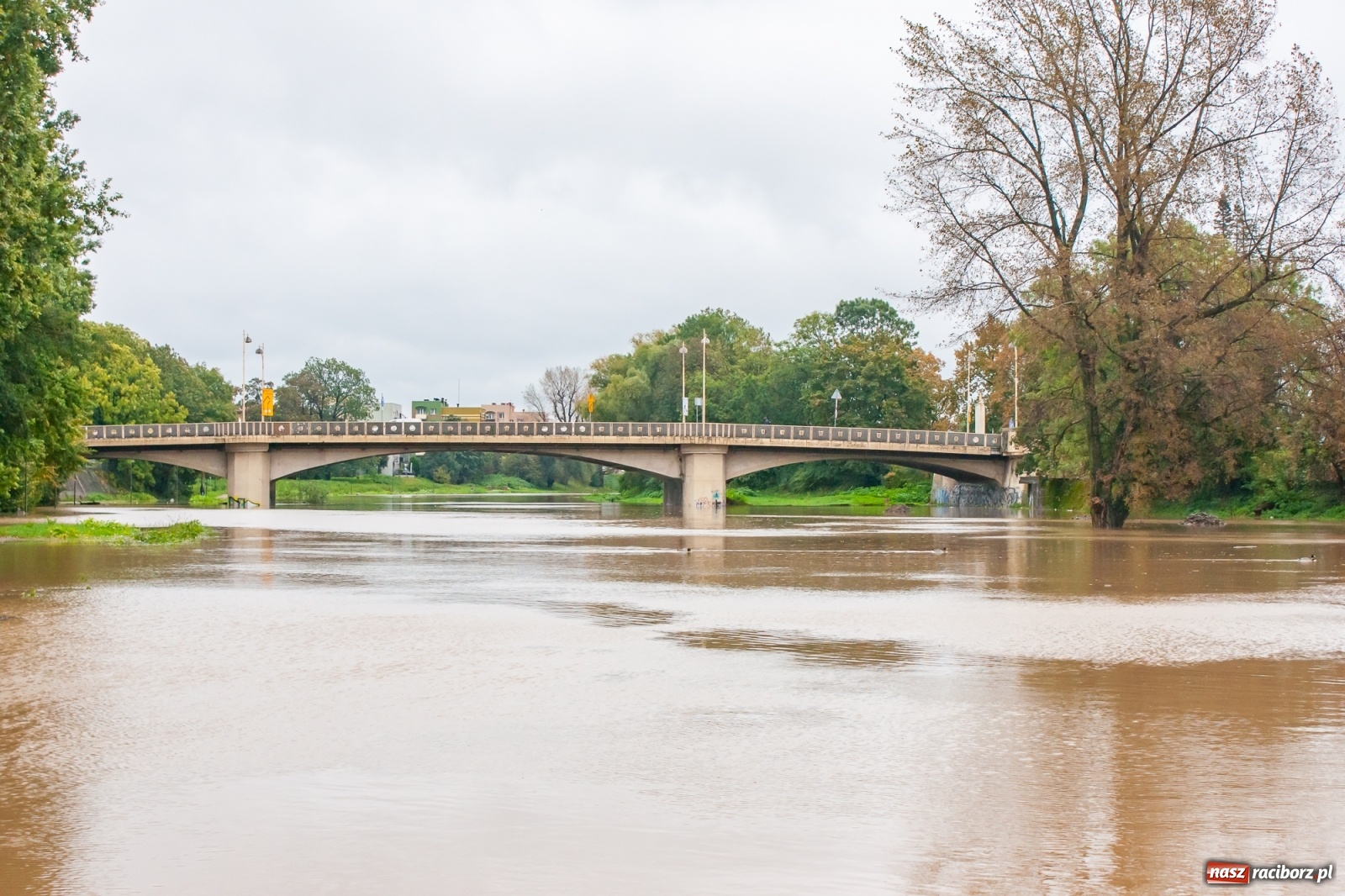 Zdjęcie w galerii na portalu naszraciborz.pl: Sytuacja powodziowa w powiecie raciborskim  wiadomości z regionu