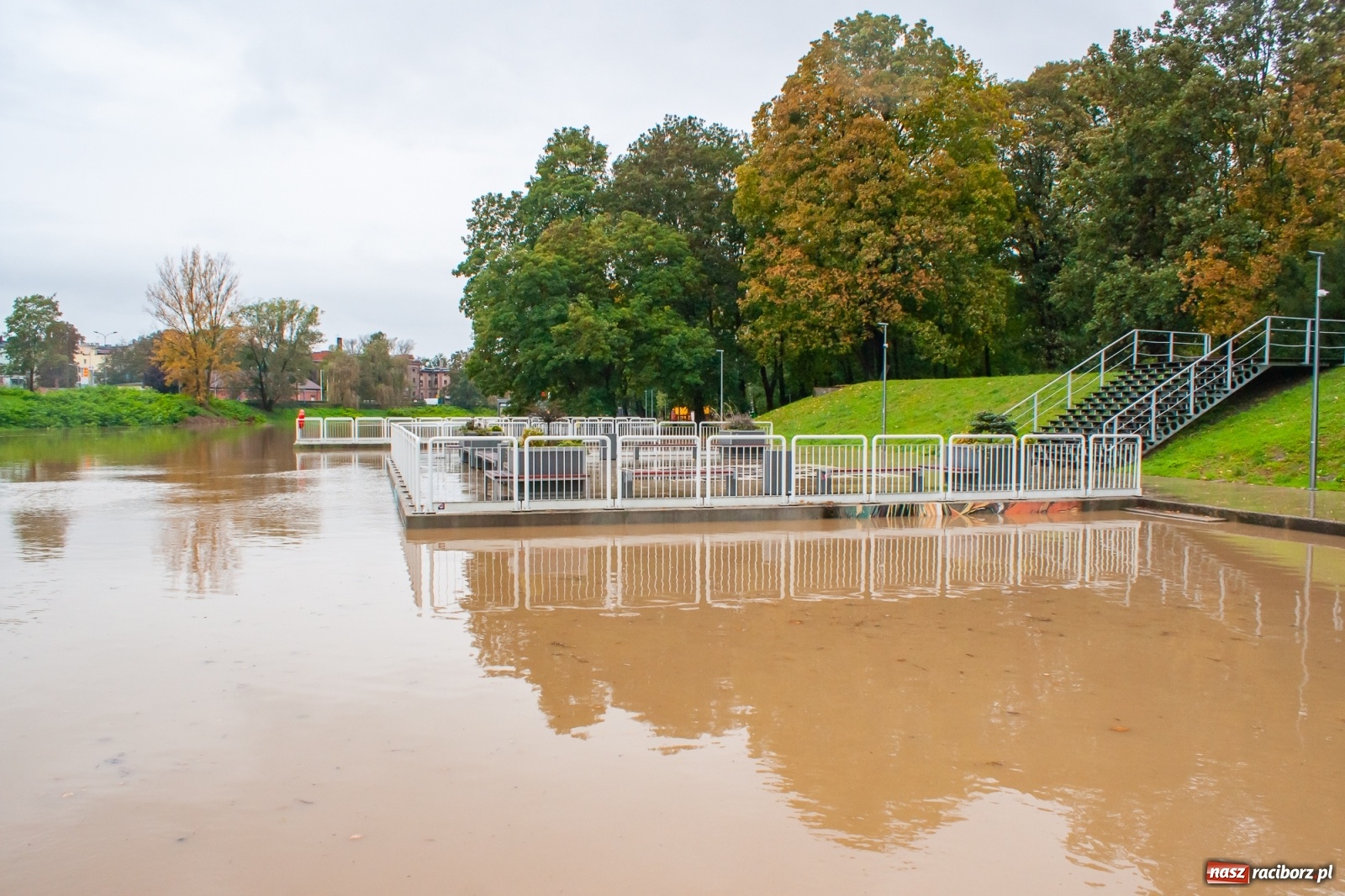 Zdjęcie w galerii na portalu naszraciborz.pl: Sytuacja powodziowa w powiecie raciborskim  wiadomości z regionu