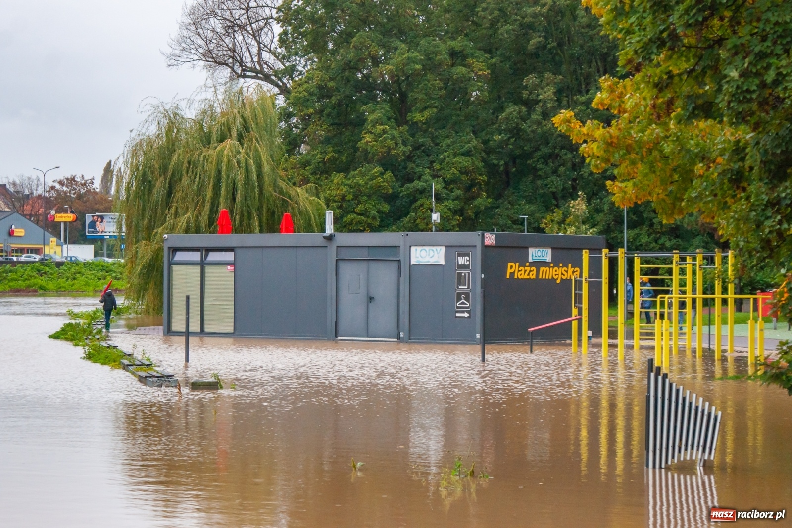 Zdjęcie w galerii na portalu naszraciborz.pl: Sytuacja powodziowa w powiecie raciborskim  wiadomości z regionu