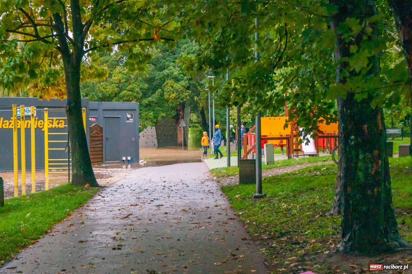 Zdjęcie w galerii na portalu naszraciborz.pl: Sytuacja powodziowa w powiecie raciborskim  wiadomości z regionu