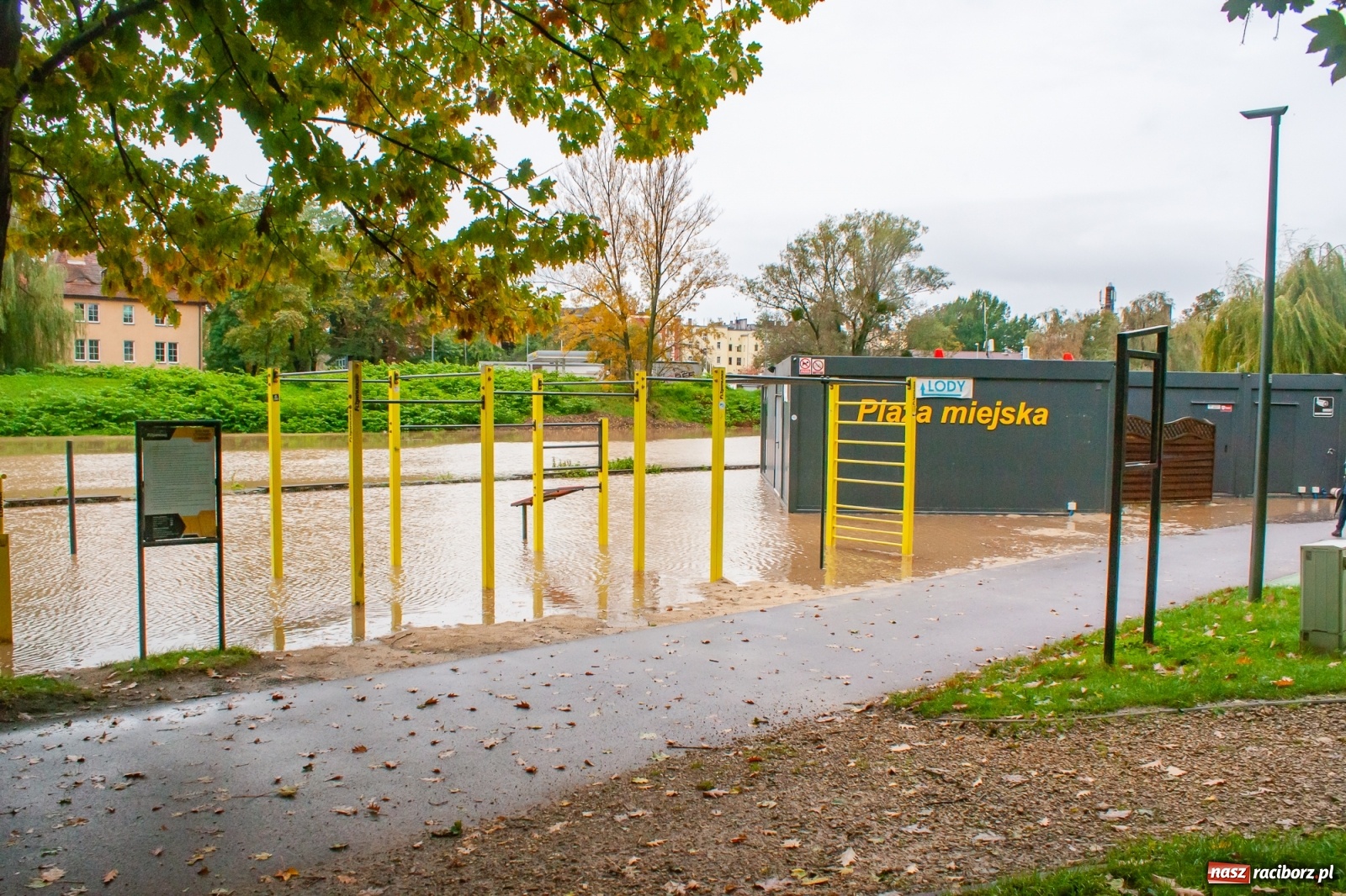 Zdjęcie w galerii na portalu naszraciborz.pl: Sytuacja powodziowa w powiecie raciborskim  wiadomości z regionu