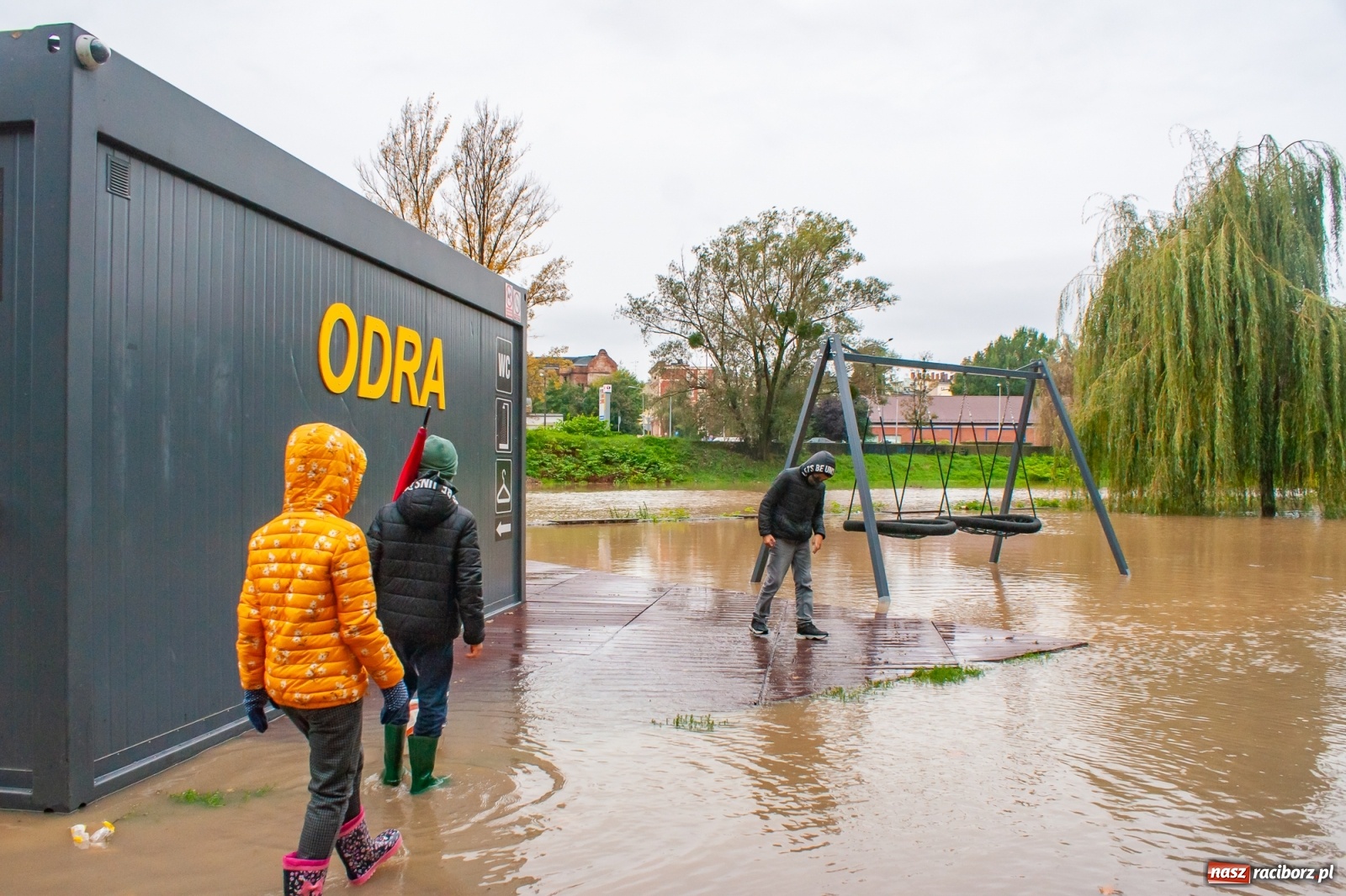 Zdjęcie w galerii na portalu naszraciborz.pl: Sytuacja powodziowa w powiecie raciborskim  wiadomości z regionu