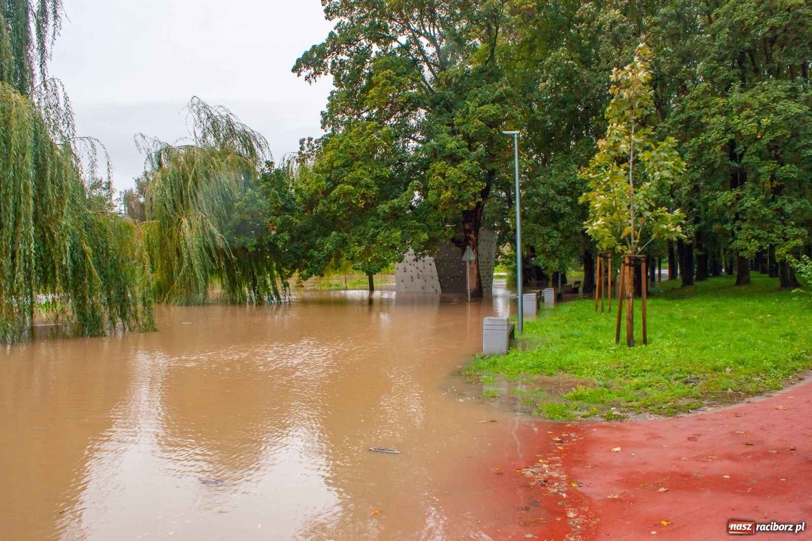 Zdjęcie w galerii na portalu naszraciborz.pl: Sytuacja powodziowa w powiecie raciborskim  wiadomości z regionu