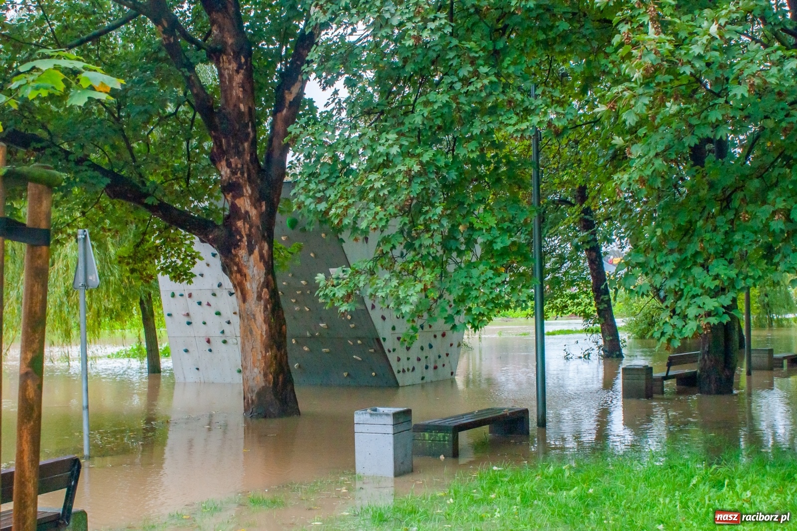 Zdjęcie w galerii na portalu naszraciborz.pl: Sytuacja powodziowa w powiecie raciborskim  wiadomości z regionu