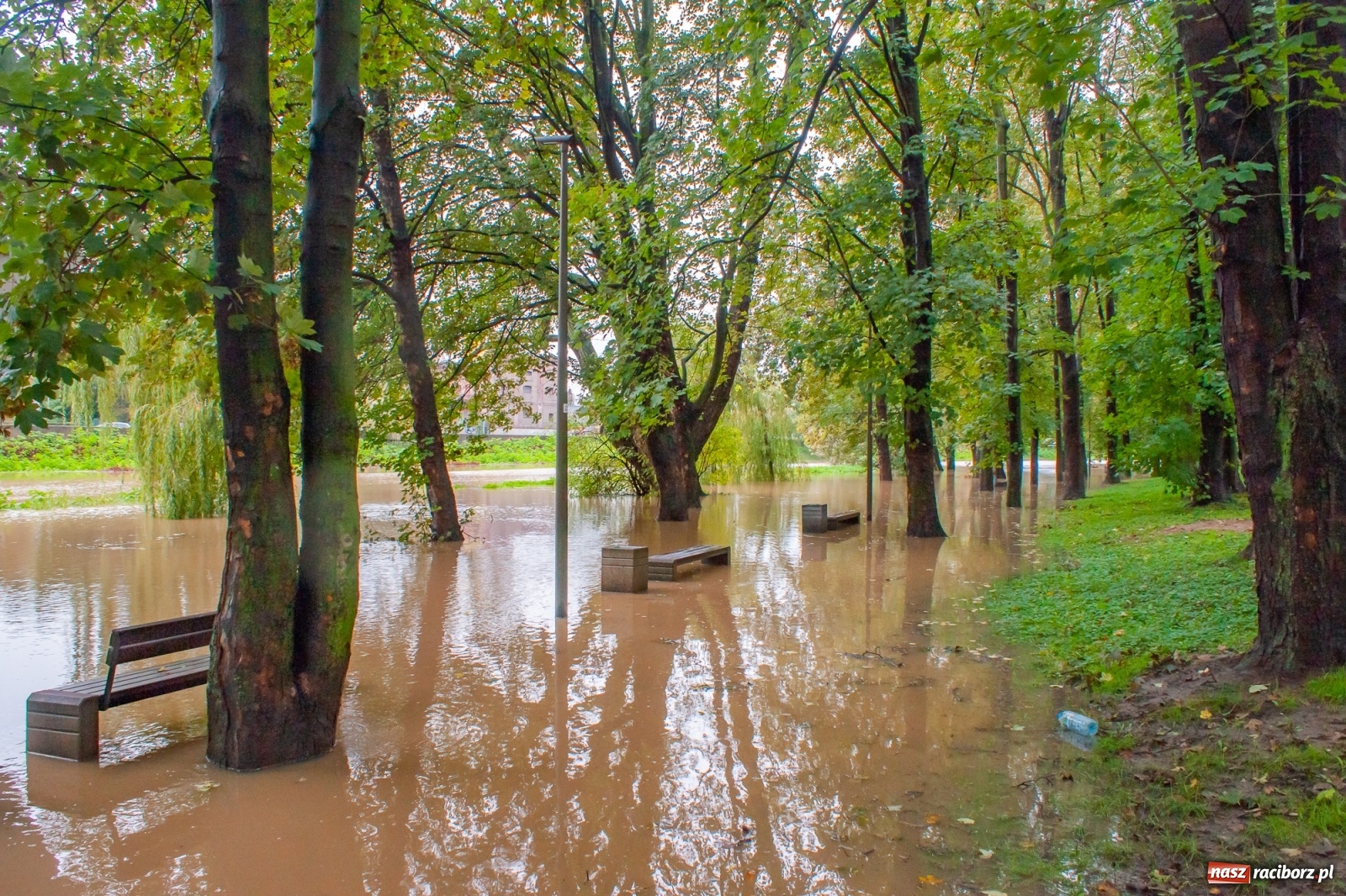 Zdjęcie w galerii na portalu naszraciborz.pl: Sytuacja powodziowa w powiecie raciborskim  wiadomości z regionu