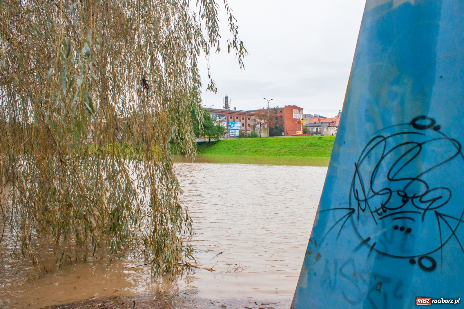 Zdjęcie w galerii na portalu naszraciborz.pl: Sytuacja powodziowa w powiecie raciborskim  wiadomości z regionu