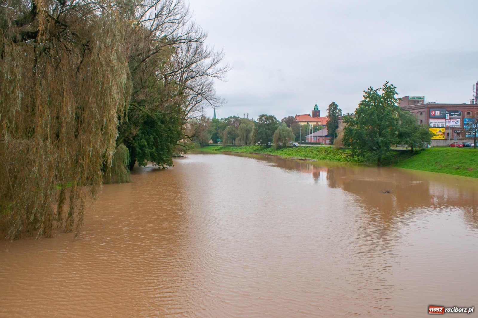 Zdjęcie w galerii na portalu naszraciborz.pl: Sytuacja powodziowa w powiecie raciborskim  wiadomości z regionu
