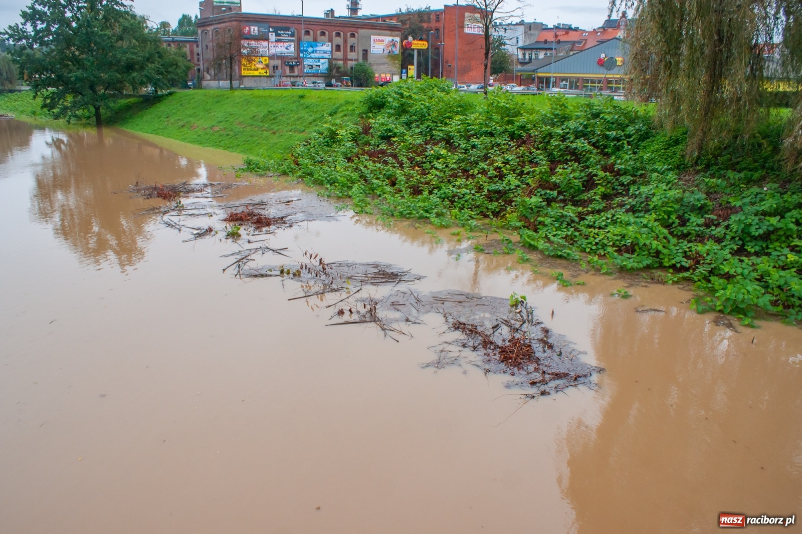 Zdjęcie w galerii na portalu naszraciborz.pl: Sytuacja powodziowa w powiecie raciborskim  wiadomości z regionu