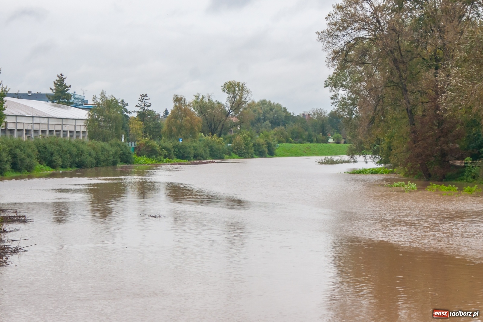 Zdjęcie w galerii na portalu naszraciborz.pl: Sytuacja powodziowa w powiecie raciborskim  wiadomości z regionu