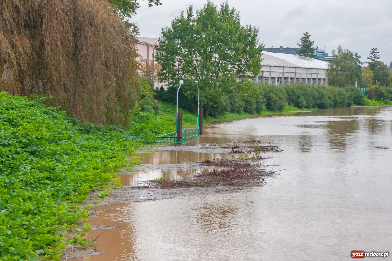 Zdjęcie w galerii na portalu naszraciborz.pl: Sytuacja powodziowa w powiecie raciborskim  wiadomości z regionu