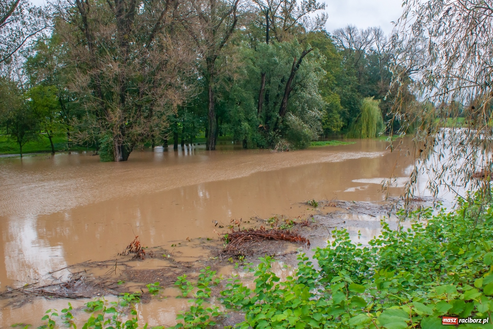 Zdjęcie w galerii na portalu naszraciborz.pl: Sytuacja powodziowa w powiecie raciborskim  wiadomości z regionu