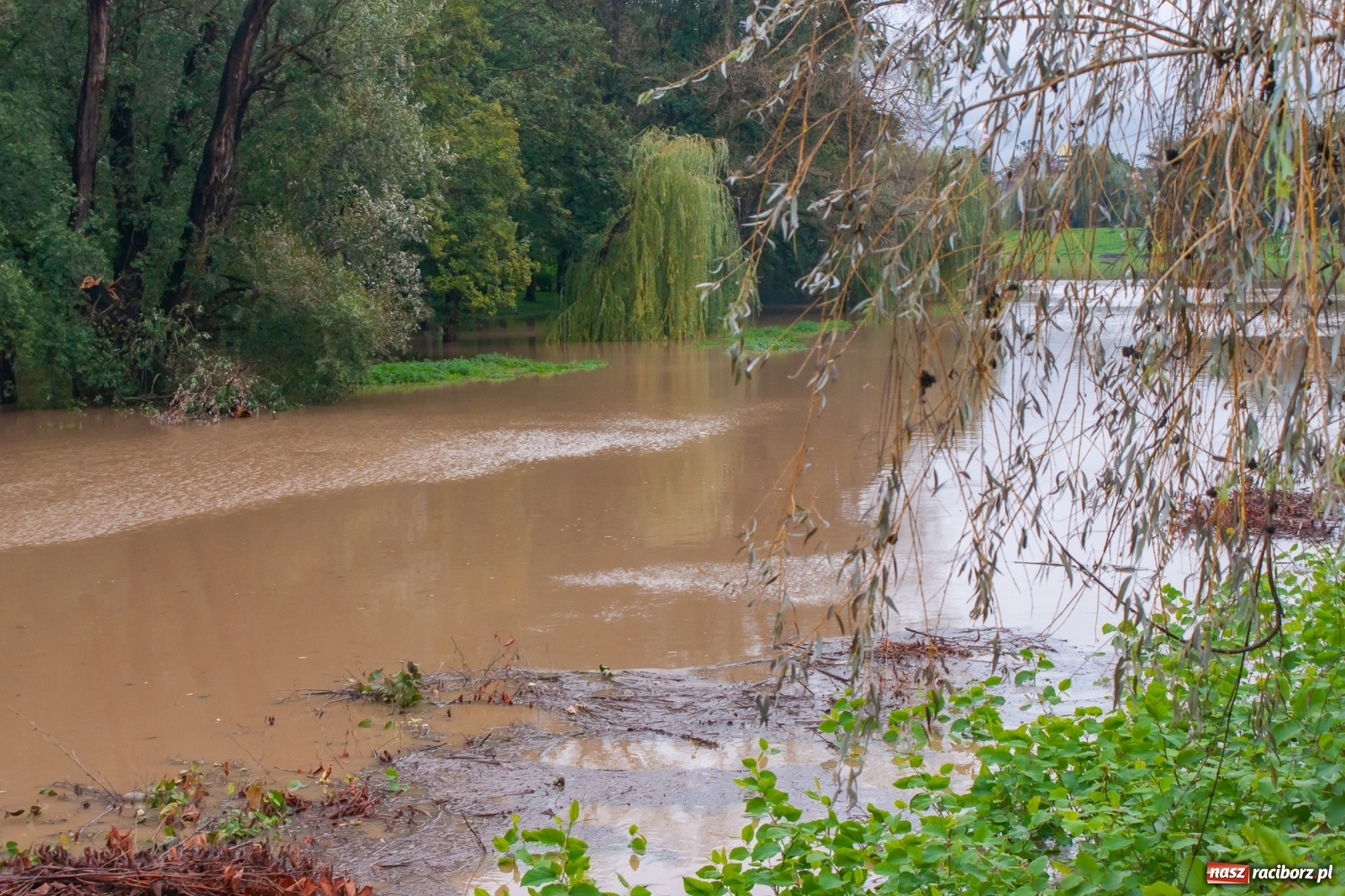 Zdjęcie w galerii na portalu naszraciborz.pl: Sytuacja powodziowa w powiecie raciborskim  wiadomości z regionu