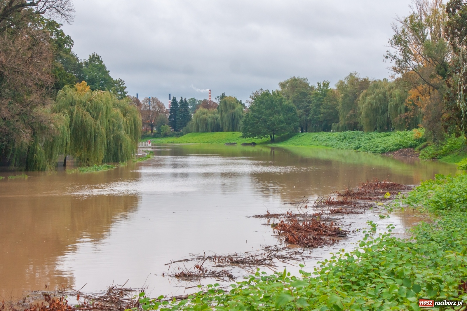 Zdjęcie w galerii na portalu naszraciborz.pl: Sytuacja powodziowa w powiecie raciborskim  wiadomości z regionu