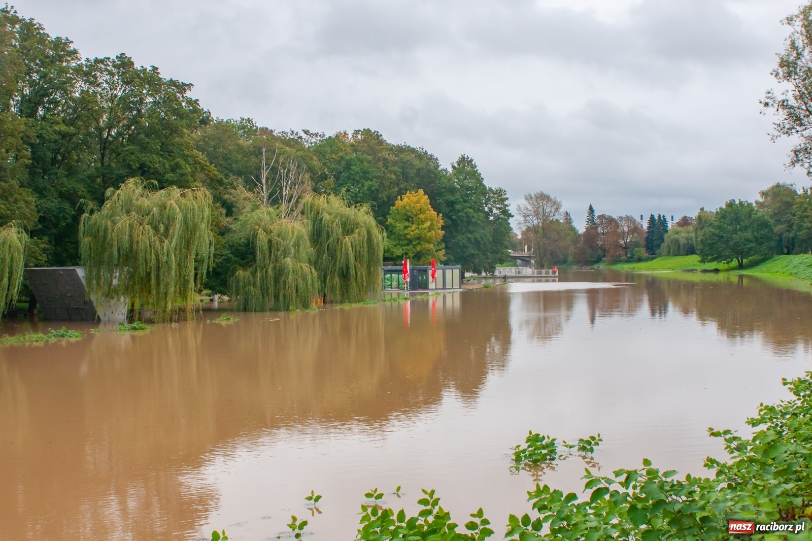 Zdjęcie w galerii na portalu naszraciborz.pl: Sytuacja powodziowa w powiecie raciborskim  wiadomości z regionu