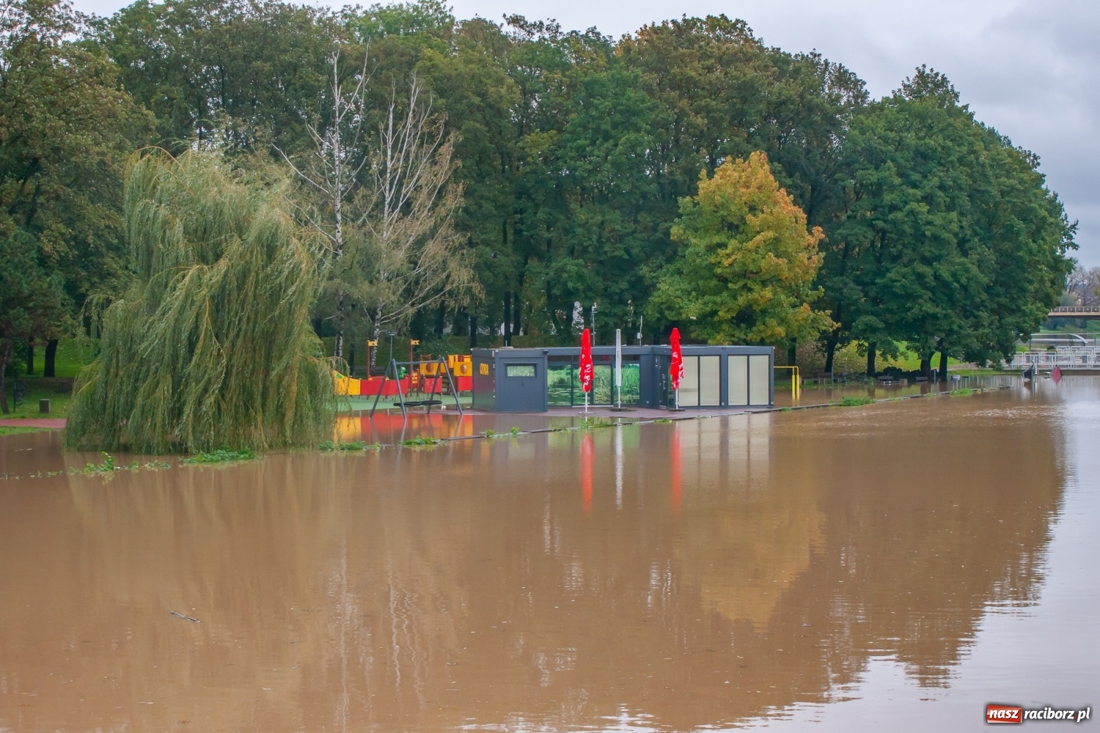 Zdjęcie w galerii na portalu naszraciborz.pl: Sytuacja powodziowa w powiecie raciborskim  wiadomości z regionu