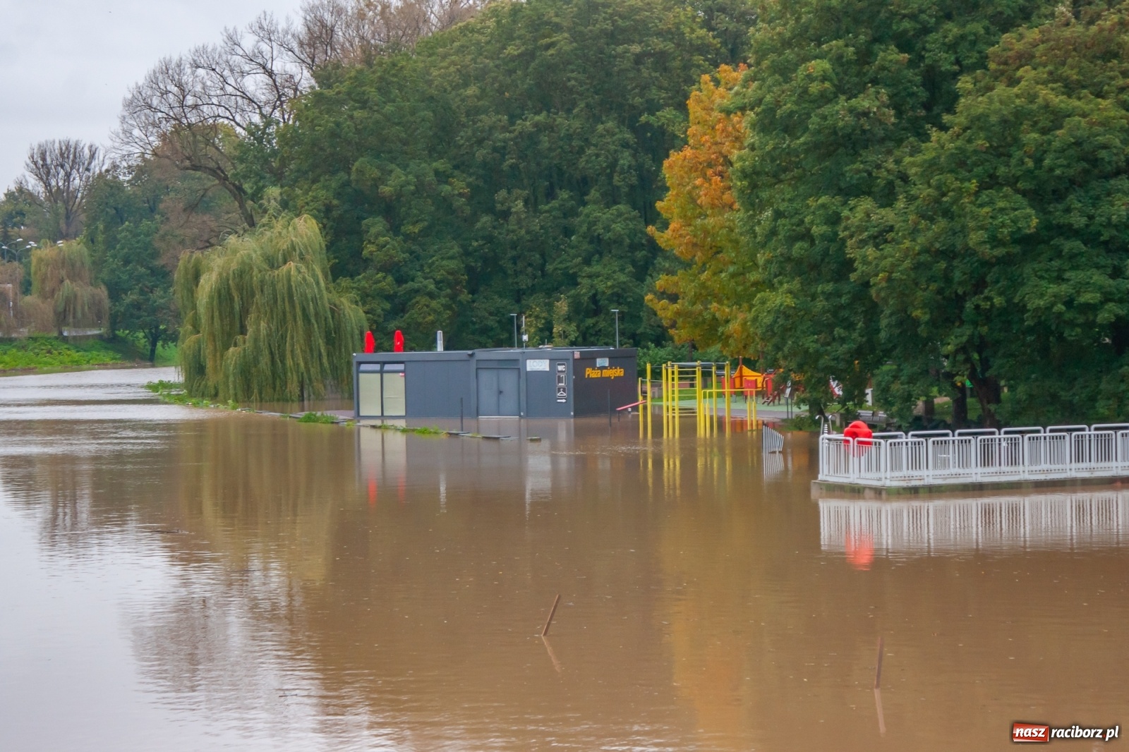Zdjęcie w galerii na portalu naszraciborz.pl: Sytuacja powodziowa w powiecie raciborskim  wiadomości z regionu