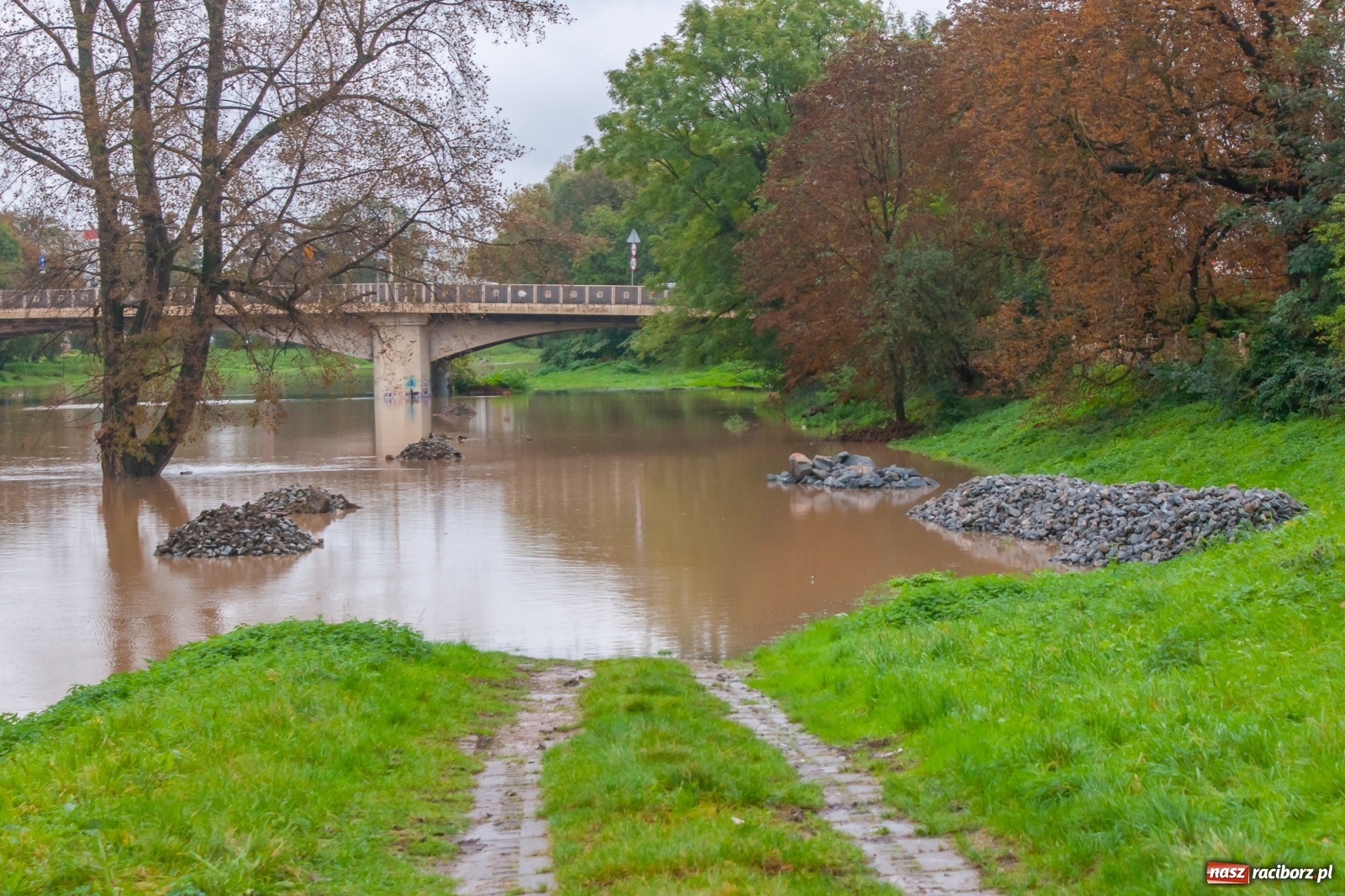 Zdjęcie w galerii na portalu naszraciborz.pl: Sytuacja powodziowa w powiecie raciborskim  wiadomości z regionu