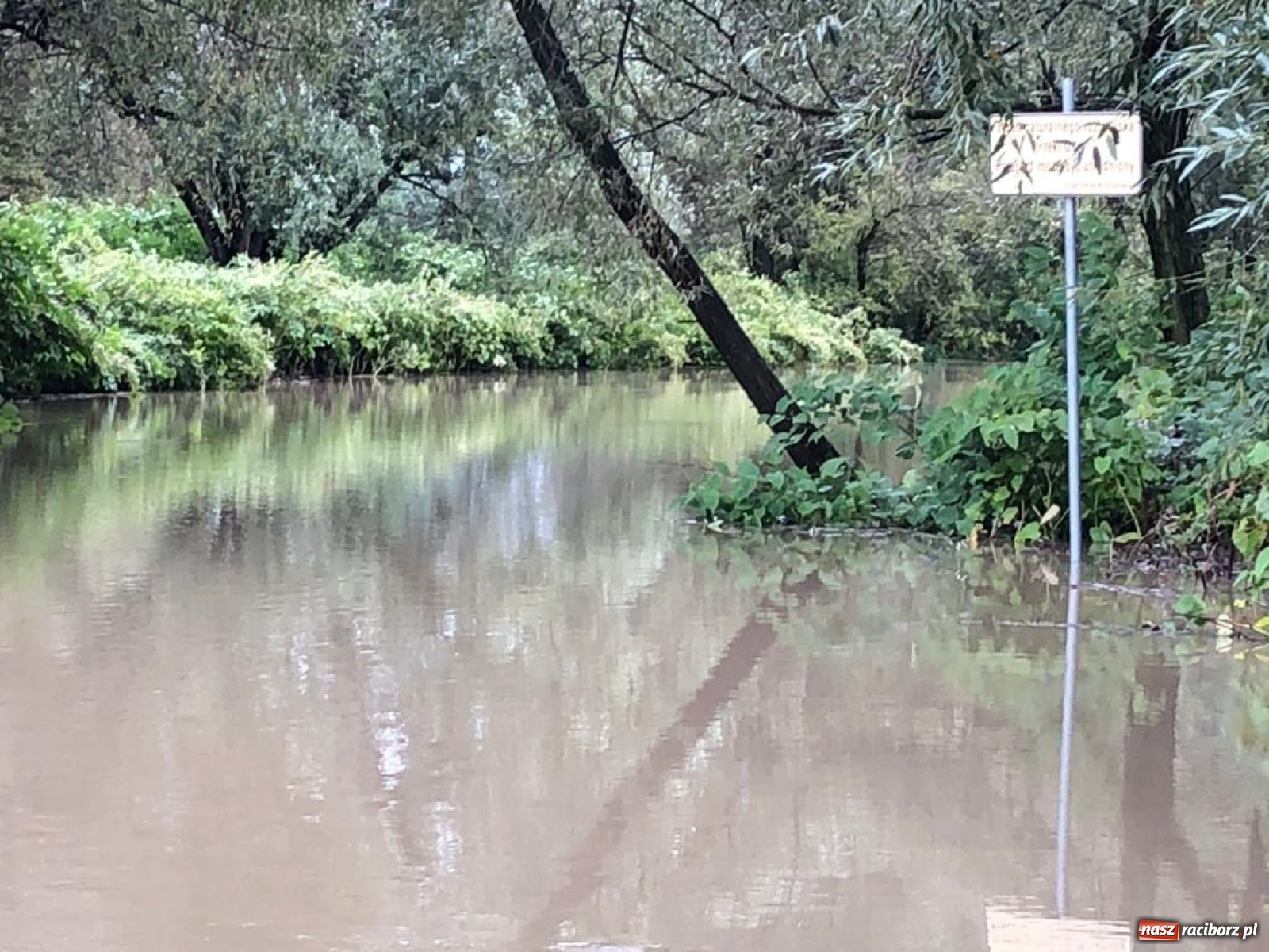 Zdjęcie w galerii na portalu naszraciborz.pl: Sytuacja powodziowa w powiecie raciborskim  wiadomości z regionu