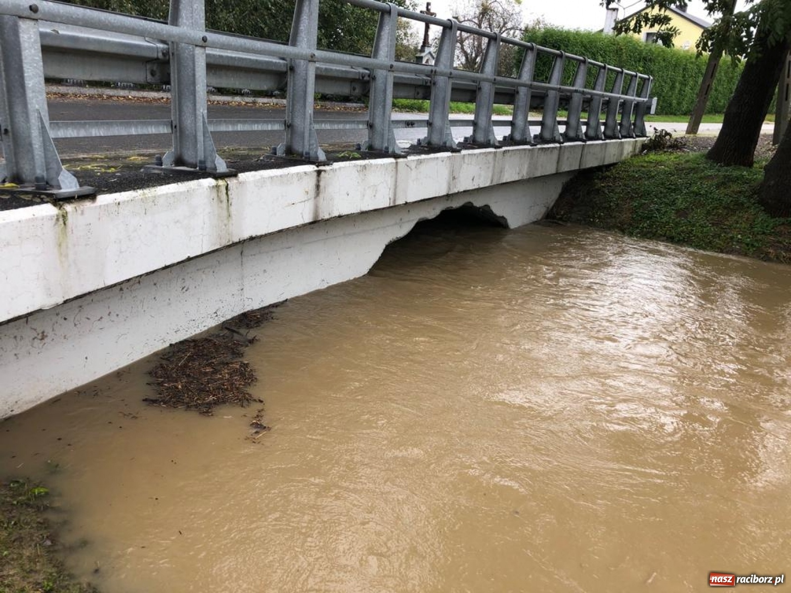 Zdjęcie w galerii na portalu naszraciborz.pl: Sytuacja powodziowa w powiecie raciborskim  wiadomości z regionu