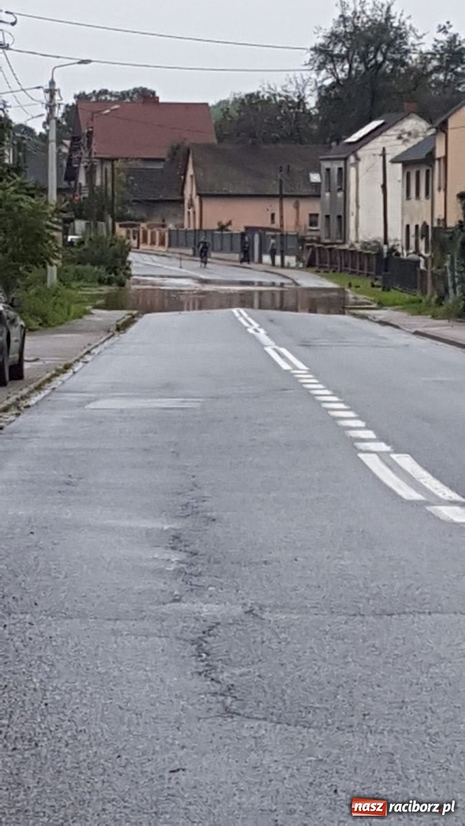 Zdjęcie w galerii na portalu naszraciborz.pl: Sytuacja powodziowa w powiecie raciborskim  wiadomości z regionu