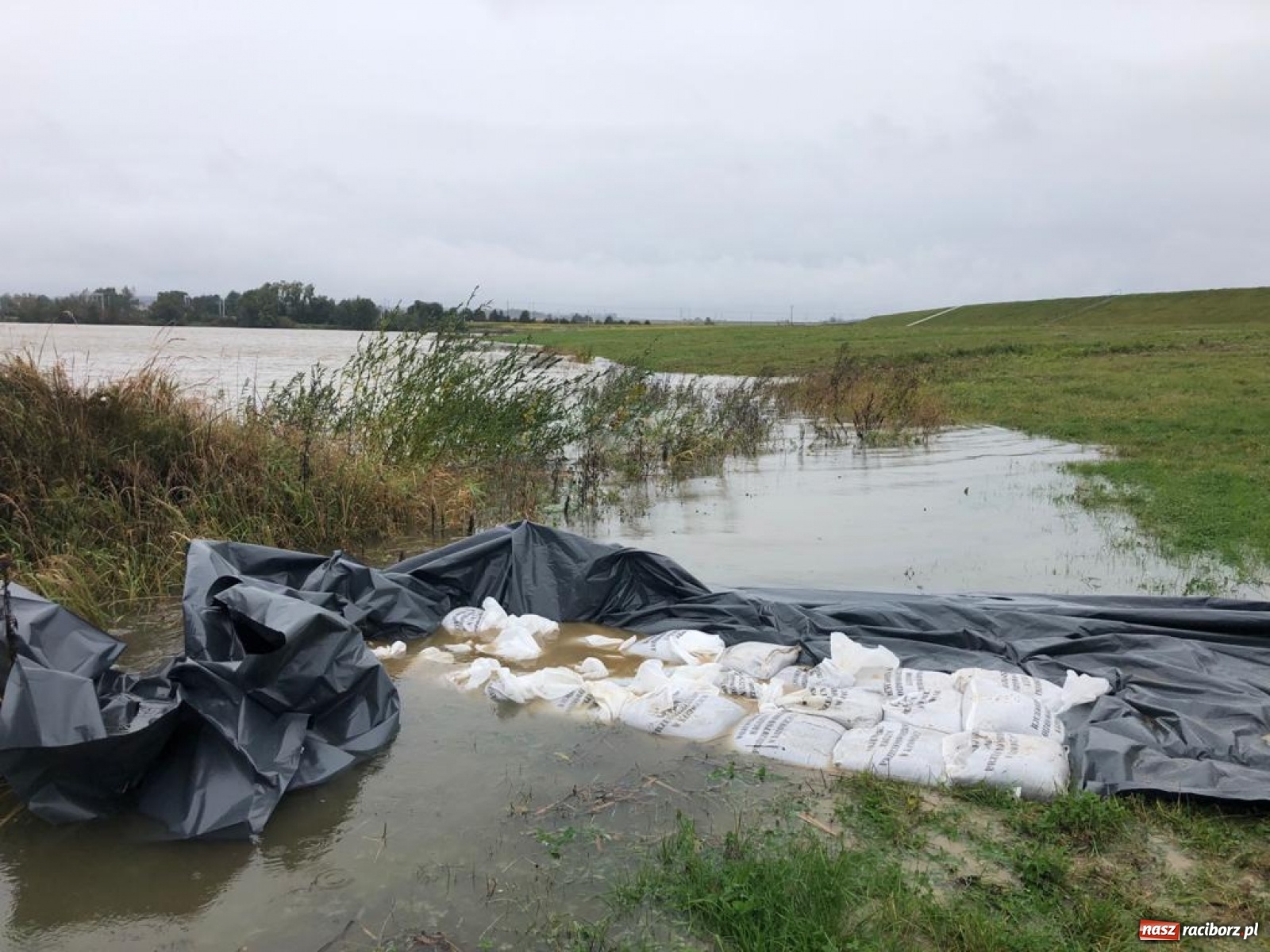 Zdjęcie w galerii na portalu naszraciborz.pl: Sytuacja powodziowa w powiecie raciborskim  wiadomości z regionu