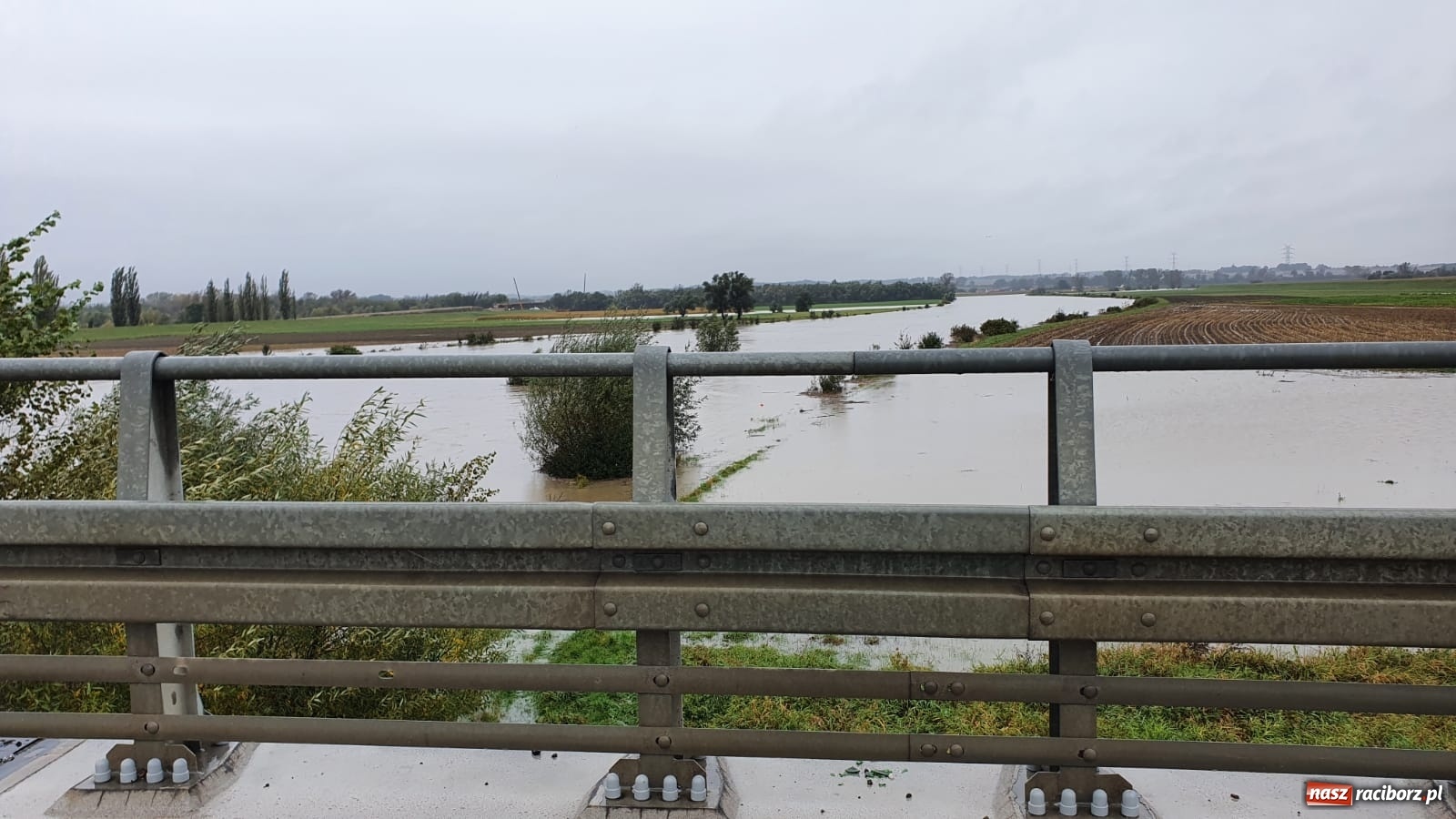 Zdjęcie w galerii na portalu naszraciborz.pl: Sytuacja powodziowa w powiecie raciborskim  wiadomości z regionu