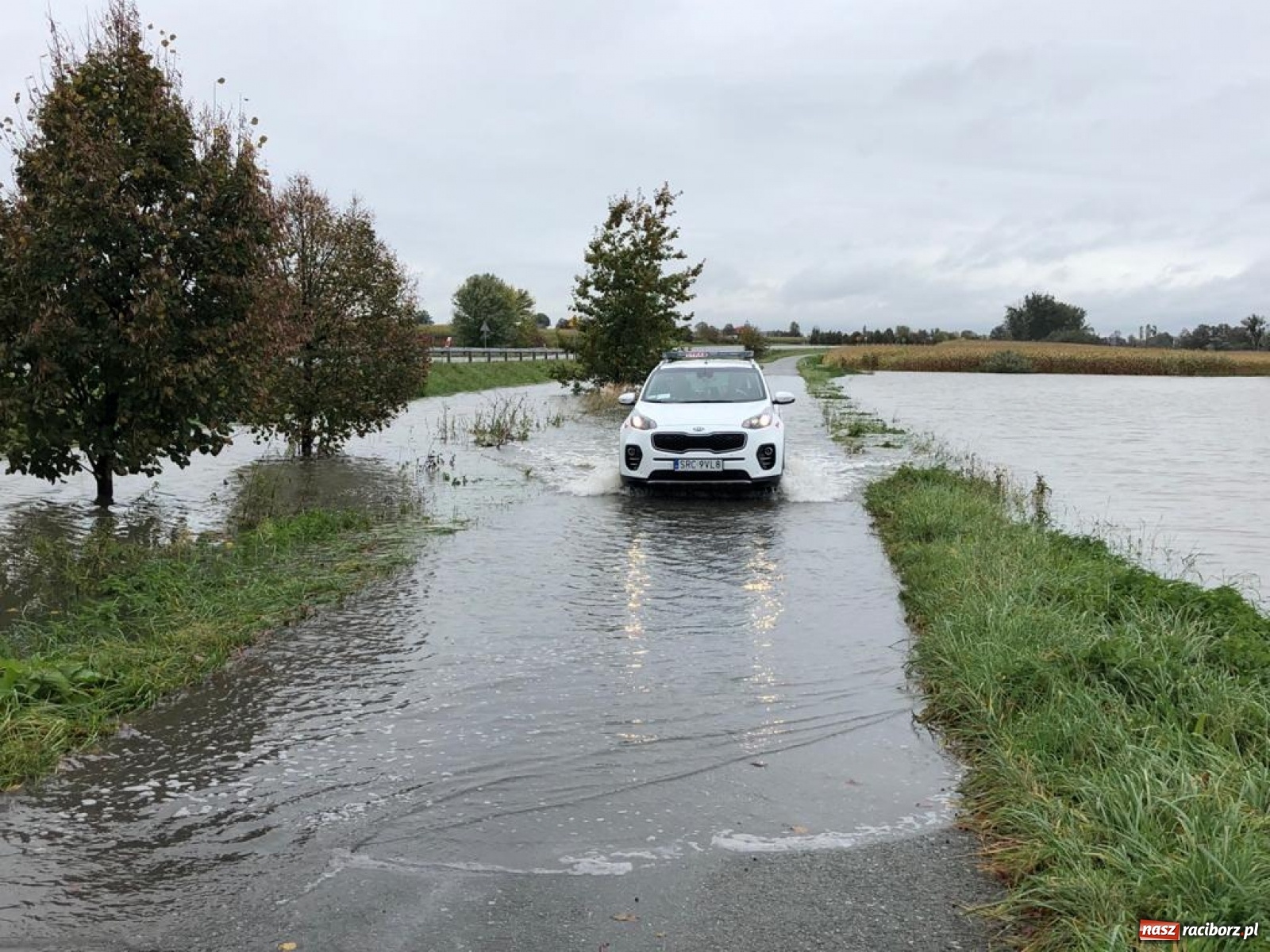 Zdjęcie w galerii na portalu naszraciborz.pl: Sytuacja powodziowa w powiecie raciborskim  wiadomości z regionu