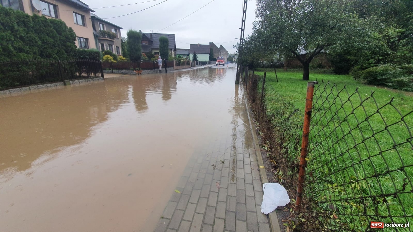 Zdjęcie w galerii na portalu naszraciborz.pl: Sytuacja powodziowa w powiecie raciborskim  wiadomości z regionu