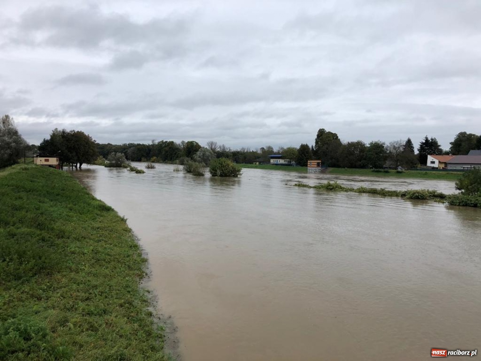 Zdjęcie w galerii na portalu naszraciborz.pl: Sytuacja powodziowa w powiecie raciborskim  wiadomości z regionu