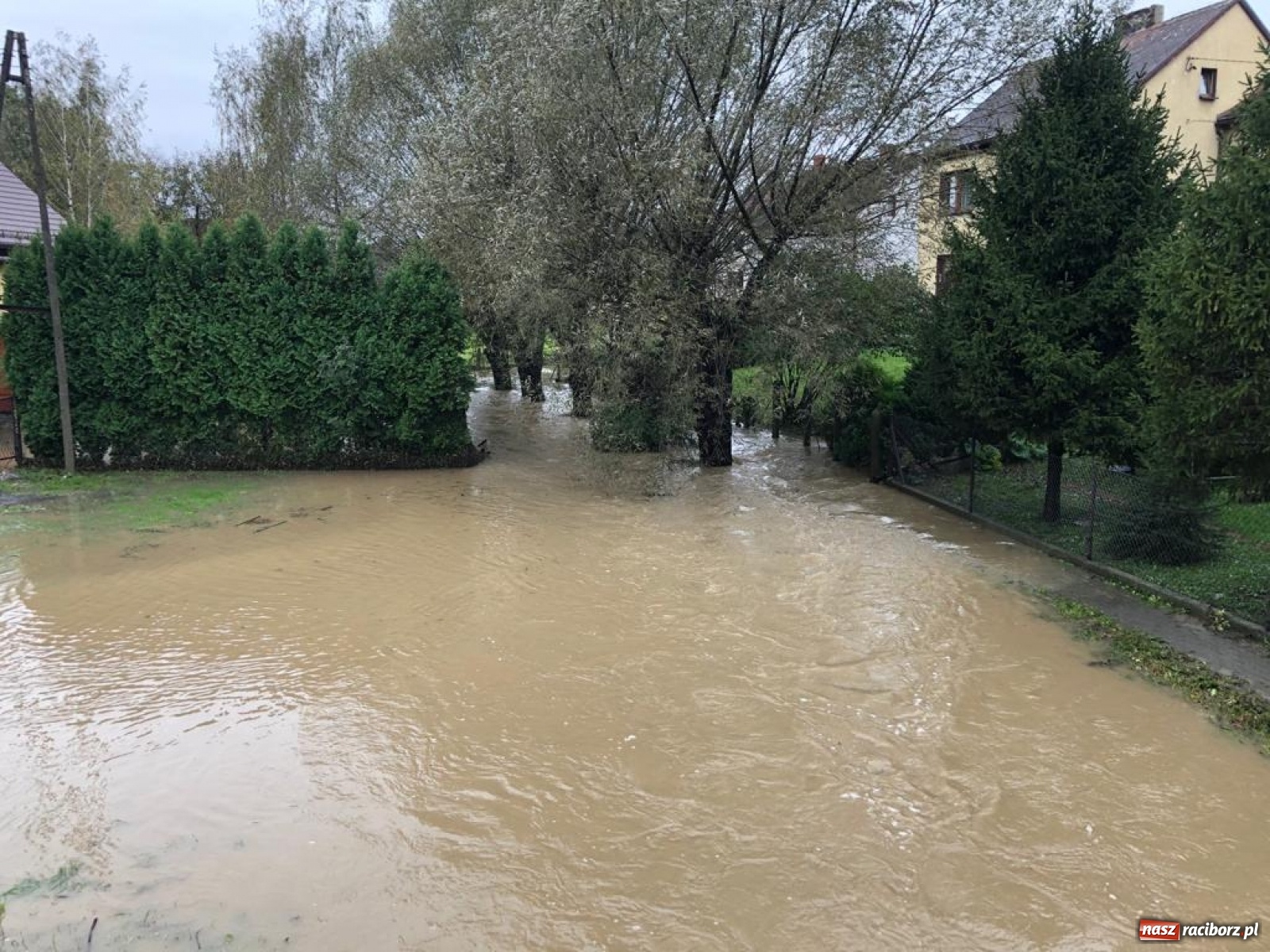 Zdjęcie w galerii na portalu naszraciborz.pl: Sytuacja powodziowa w powiecie raciborskim  wiadomości z regionu