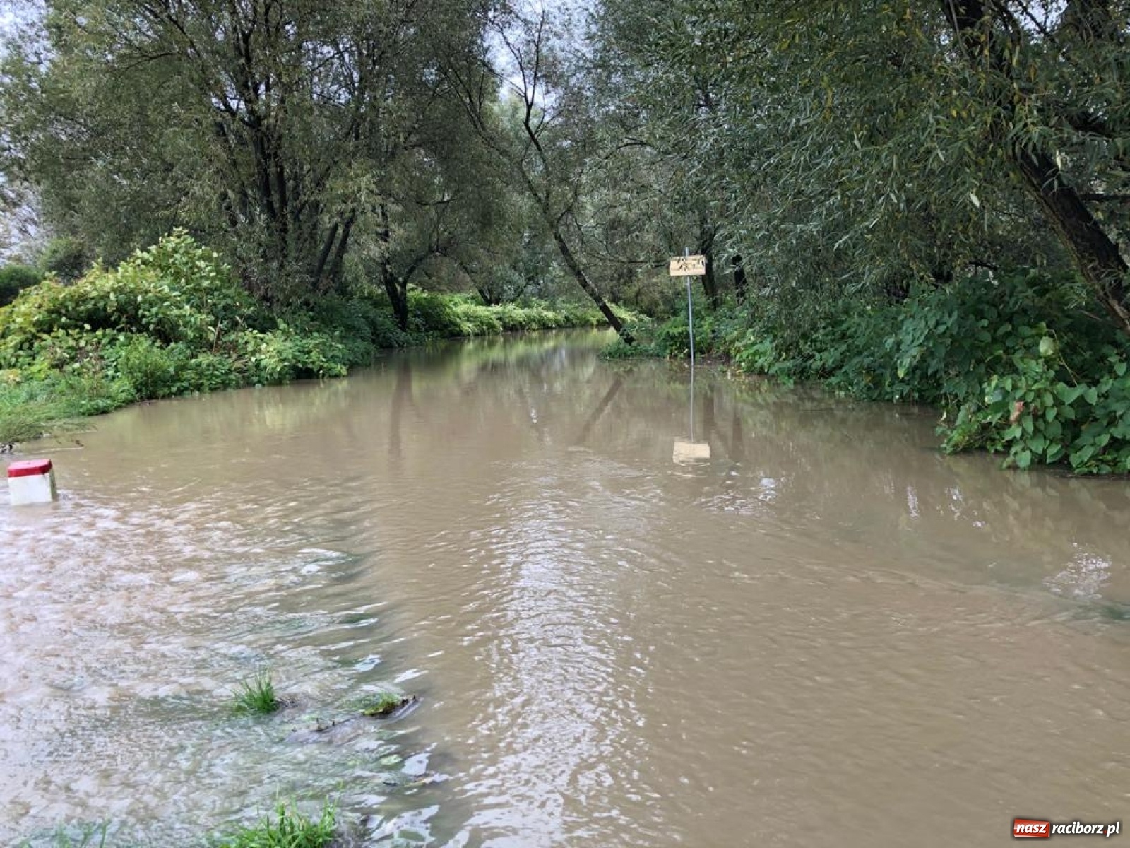 Zdjęcie w galerii na portalu naszraciborz.pl: Sytuacja powodziowa w powiecie raciborskim  wiadomości z regionu