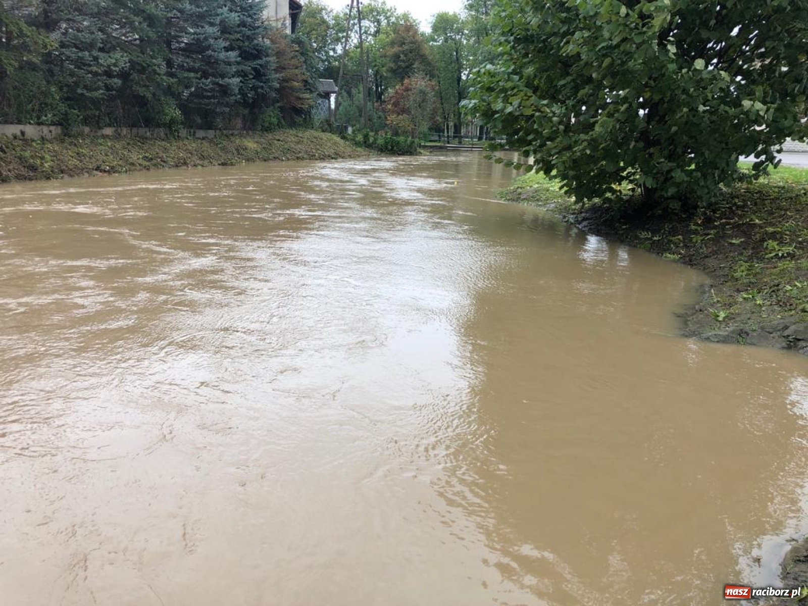 Zdjęcie w galerii na portalu naszraciborz.pl: Sytuacja powodziowa w powiecie raciborskim  wiadomości z regionu